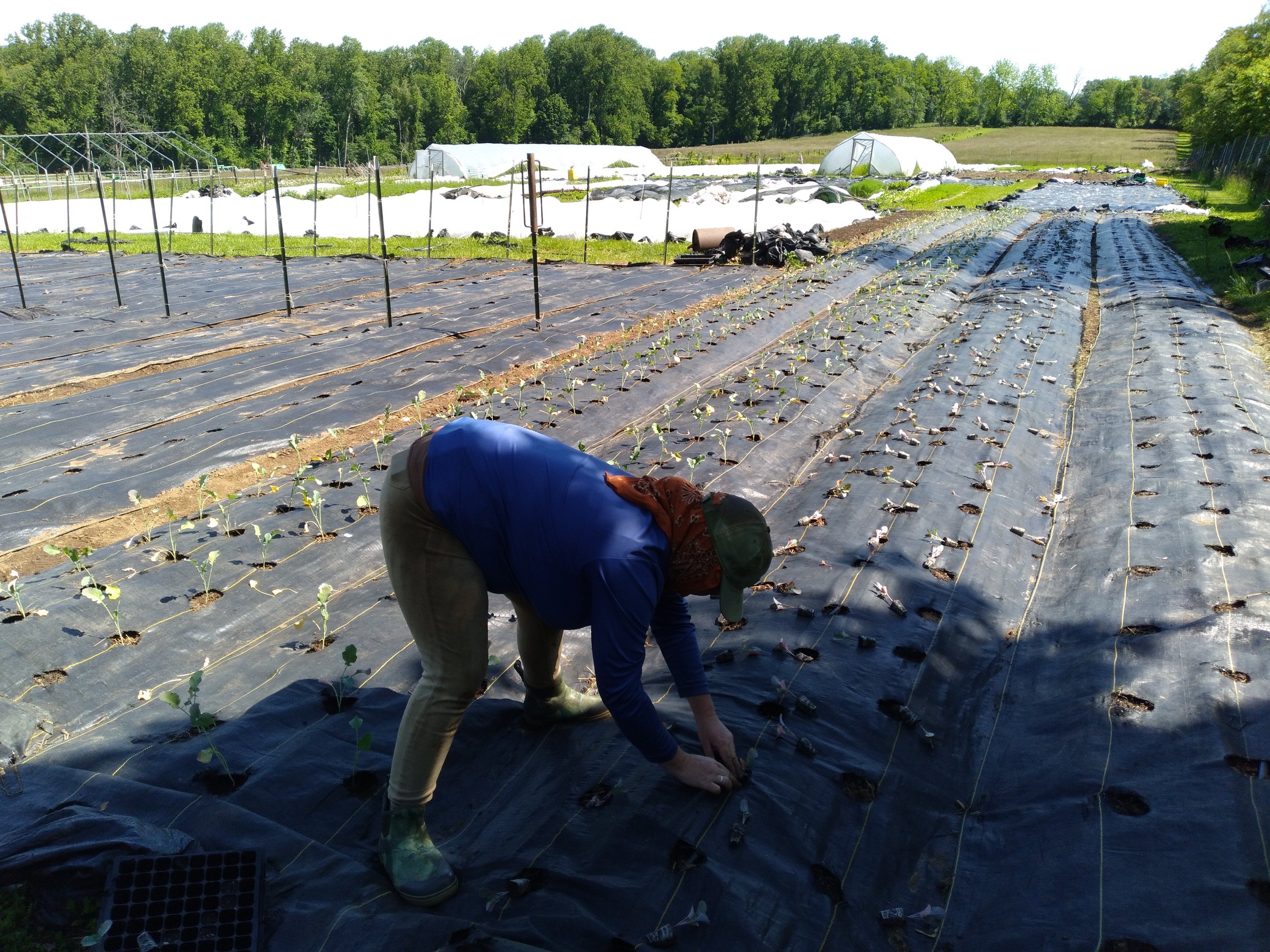 20250526_105355 - Copy.jpg