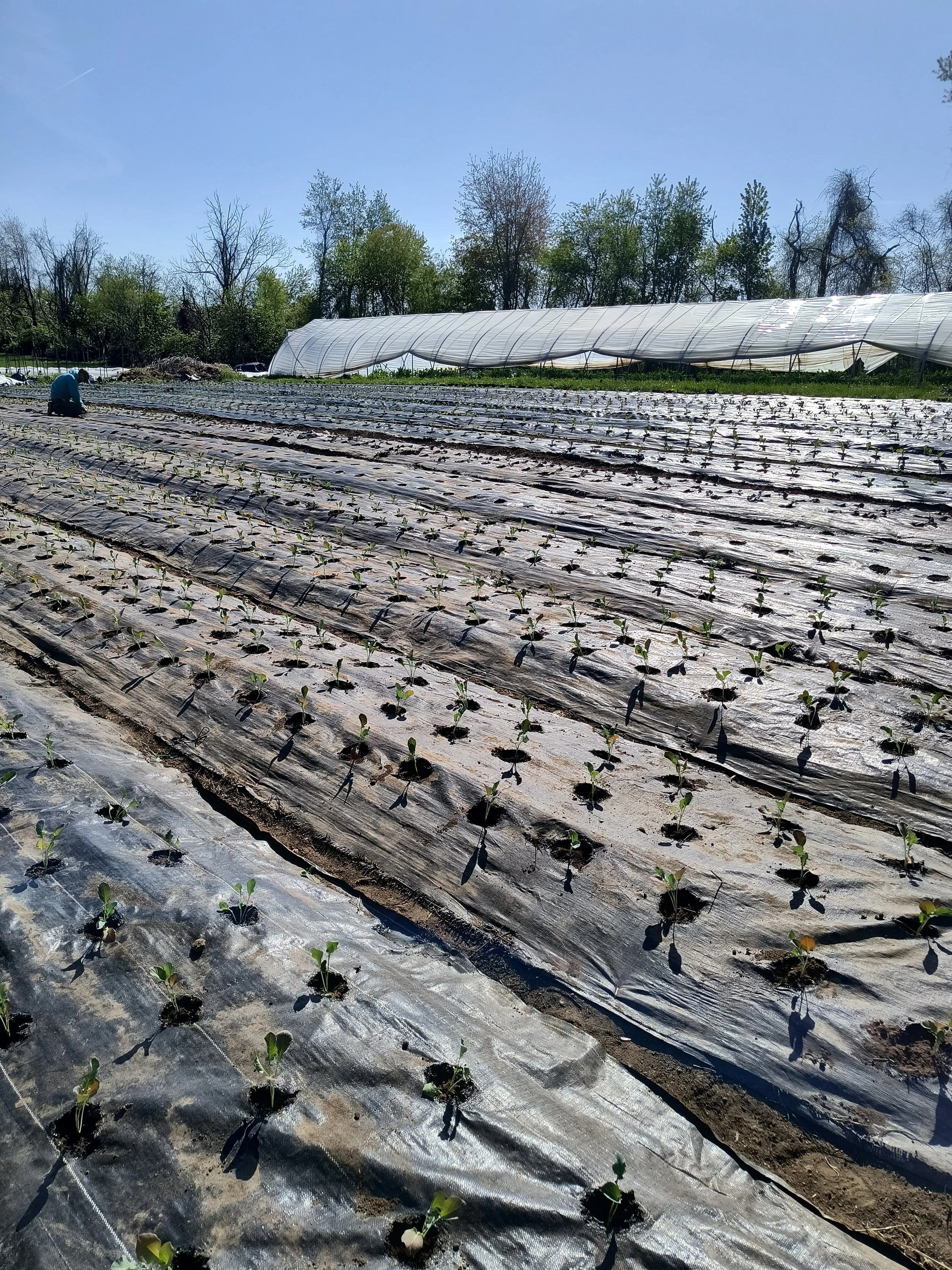 1000017228 - Copy.jpg