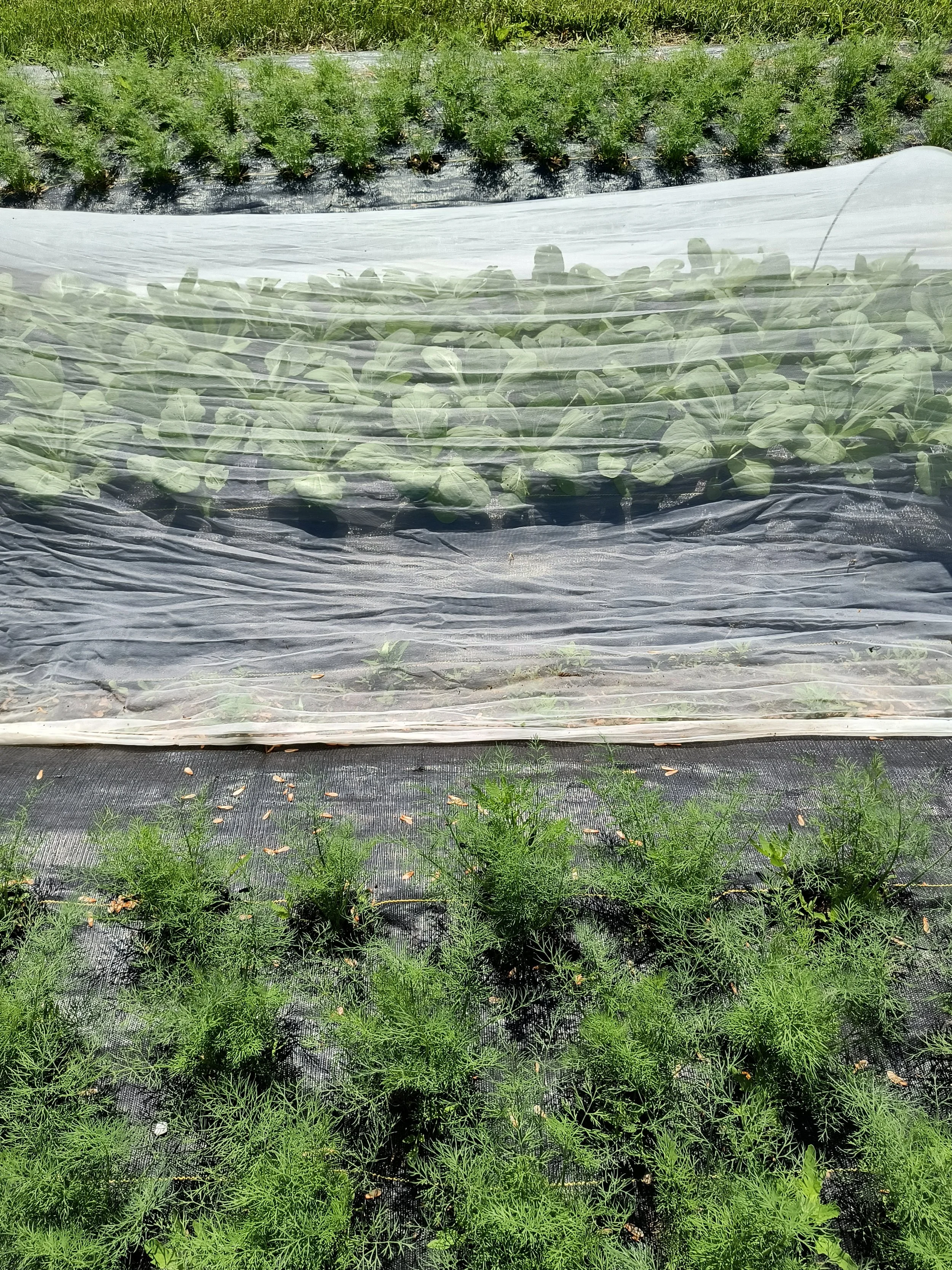 1000017380 - Copy (2).jpg