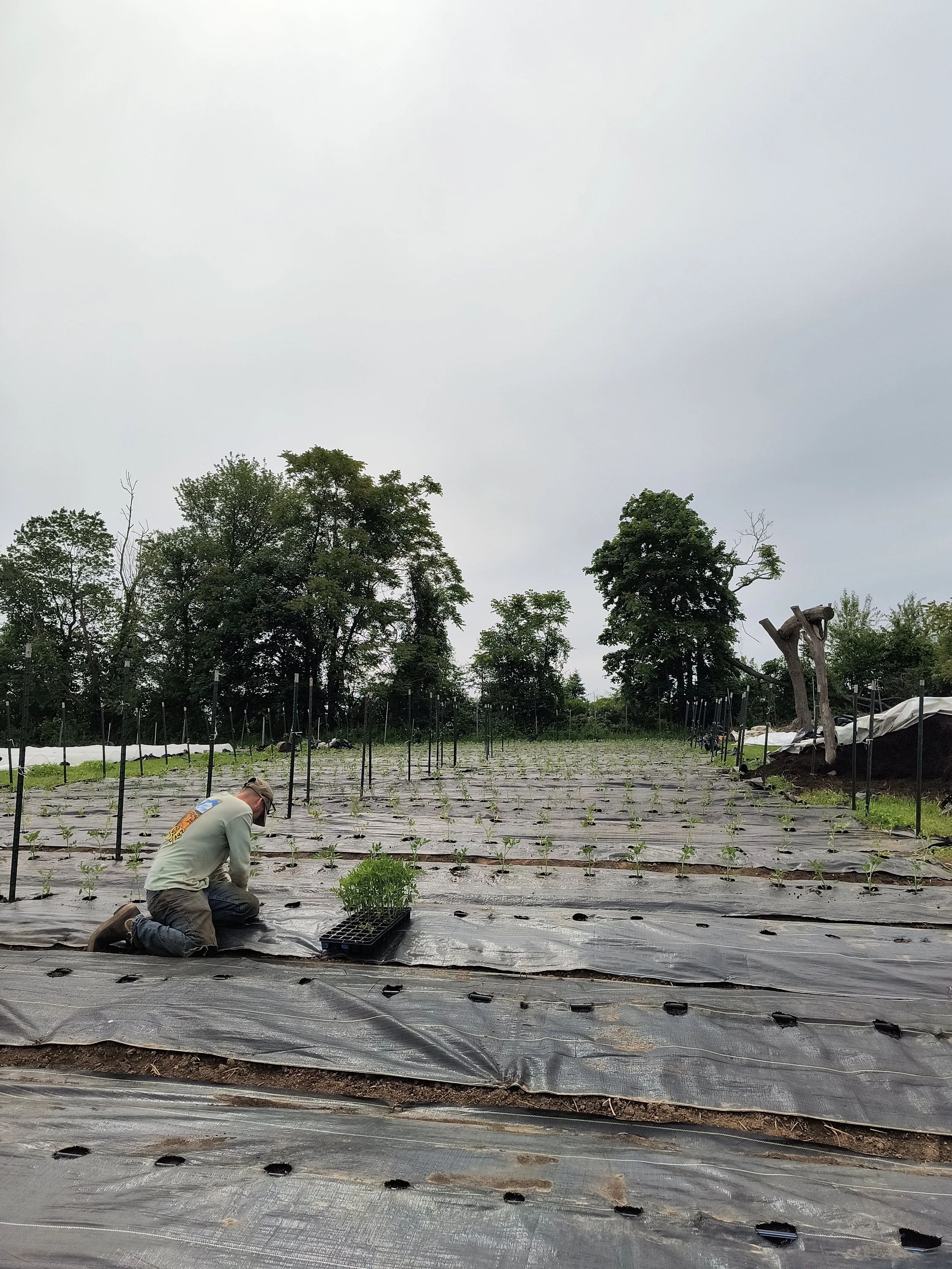 1000017867 - Copy (2).jpg