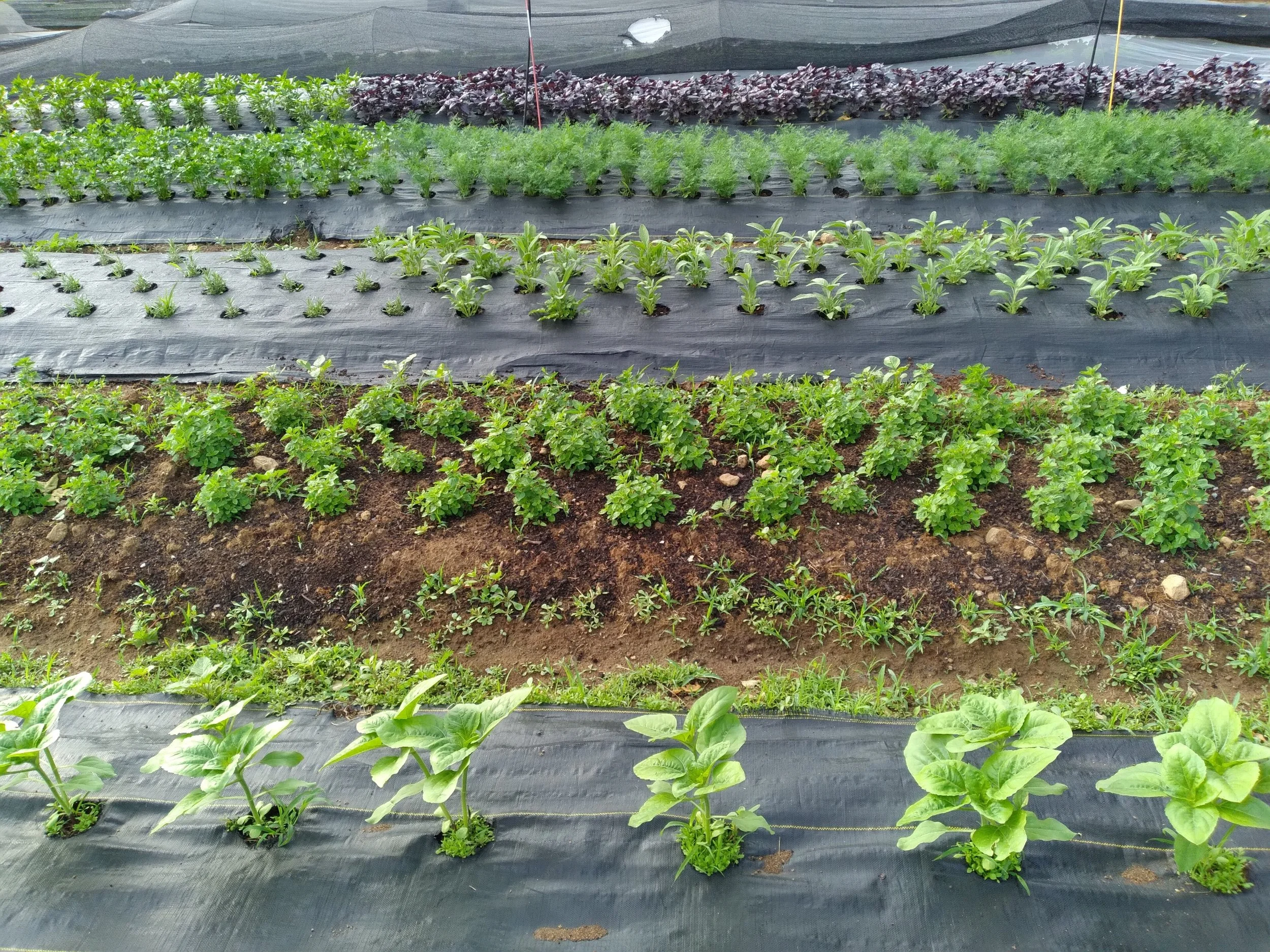 1000019330 - Copy - Copy.jpg