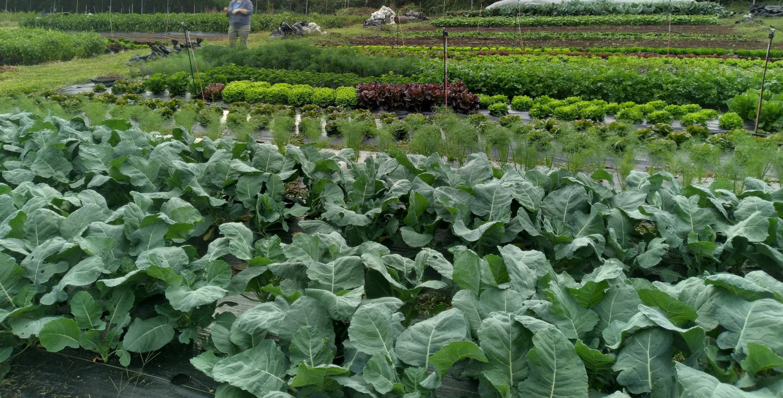 1000020924 - Copy.jpg