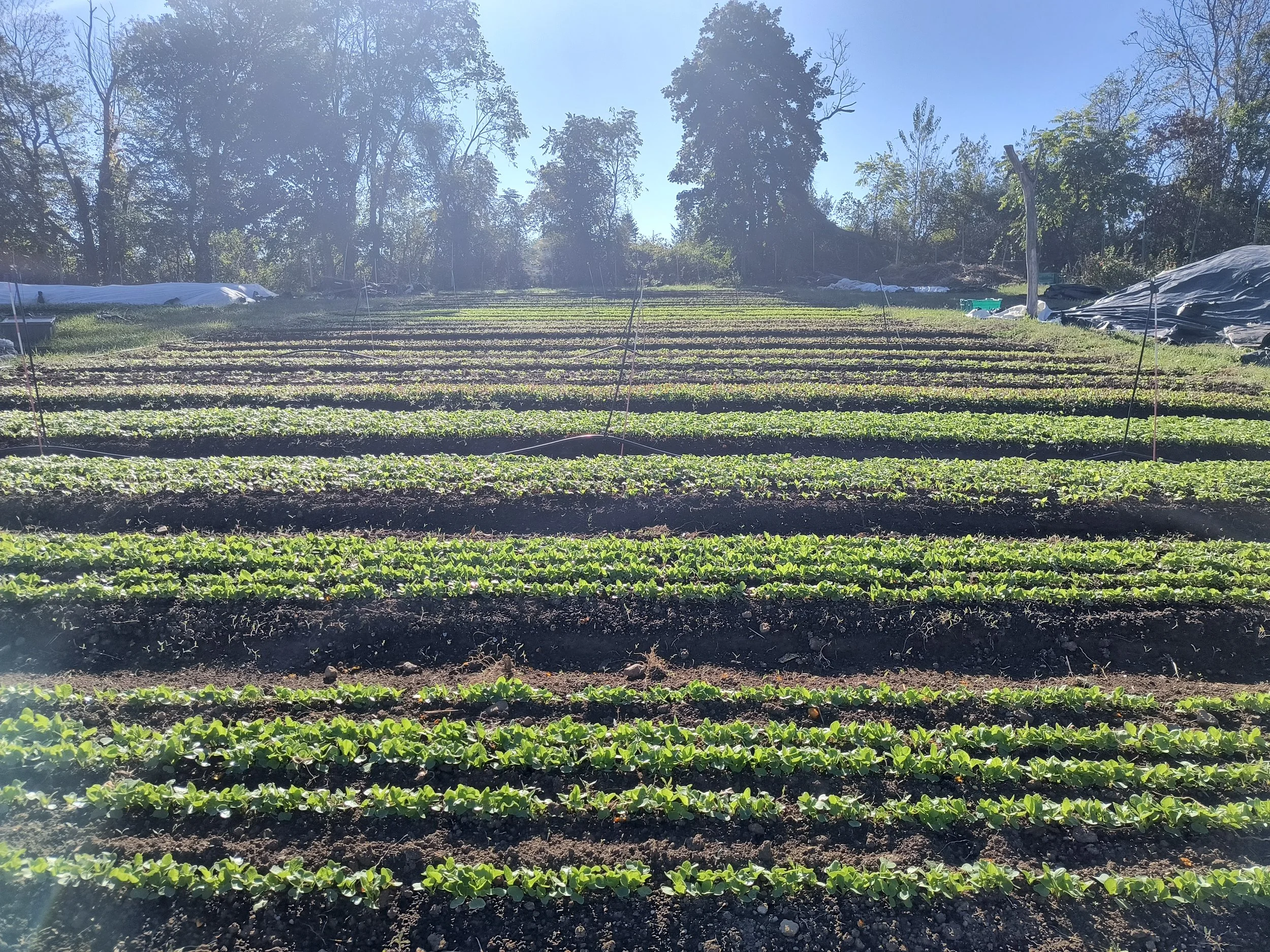 1000021329 - Copy.jpg