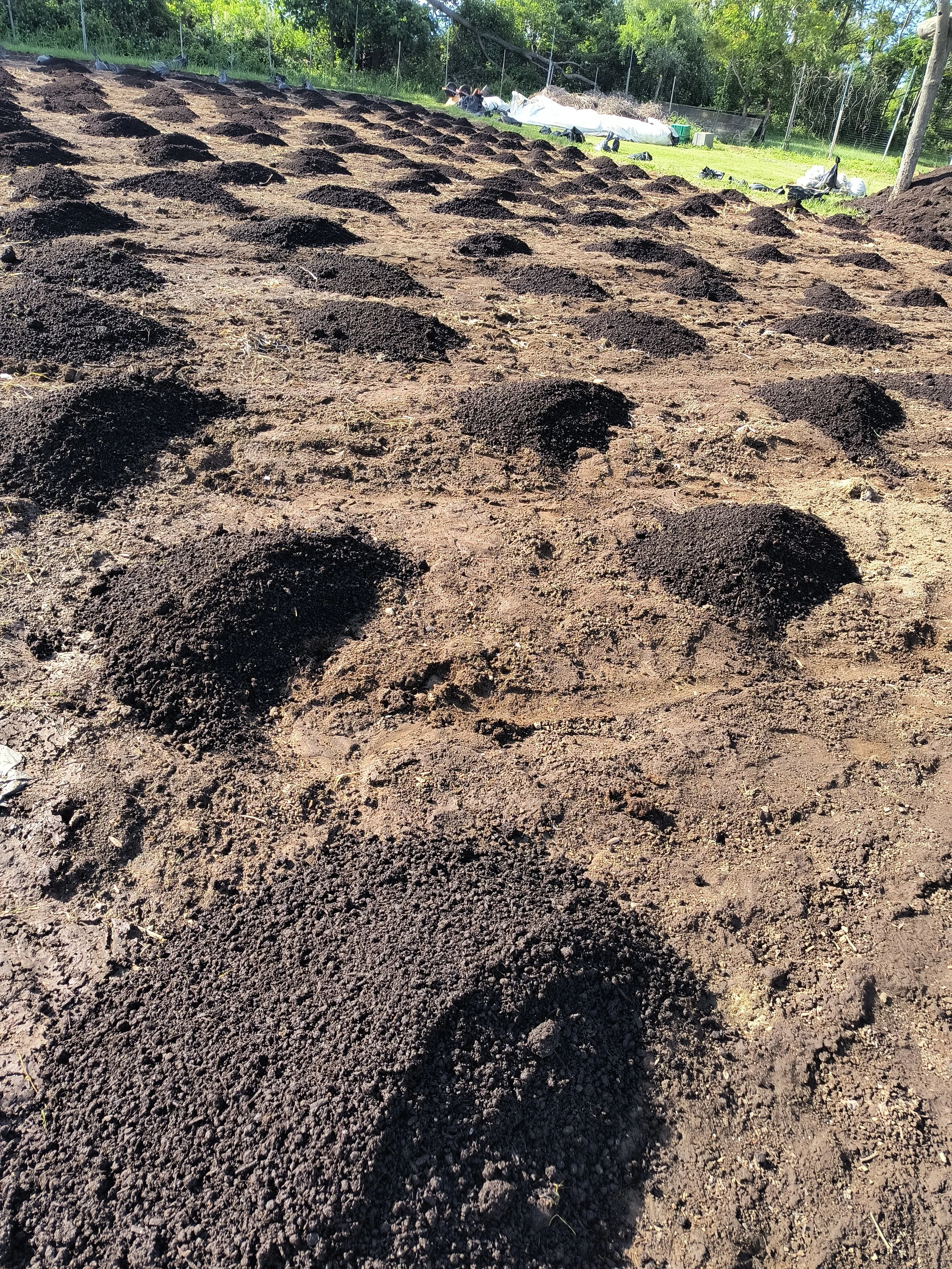 1000017652 - Copy.jpg