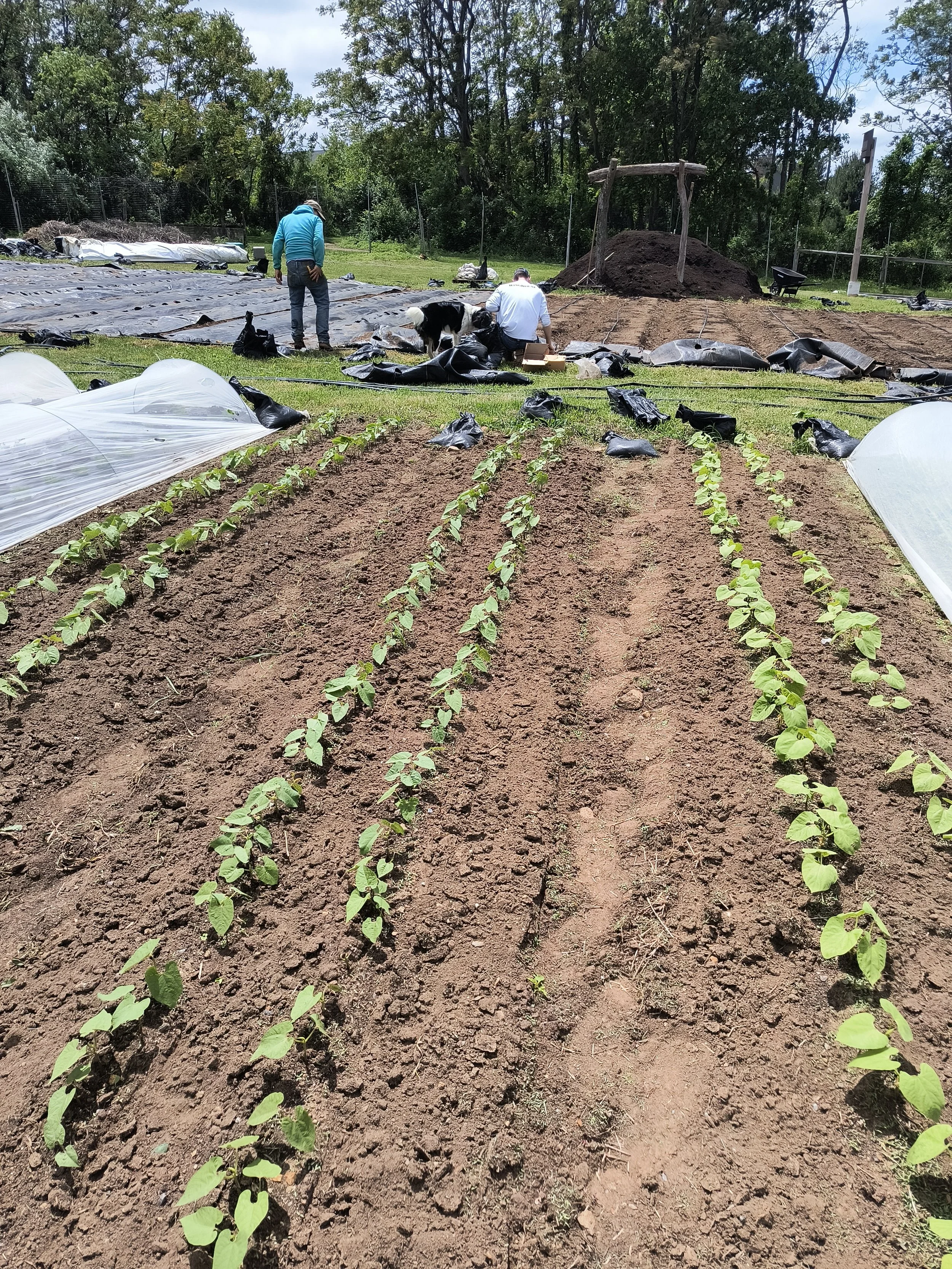 1000017661 - Copy - Copy.jpg