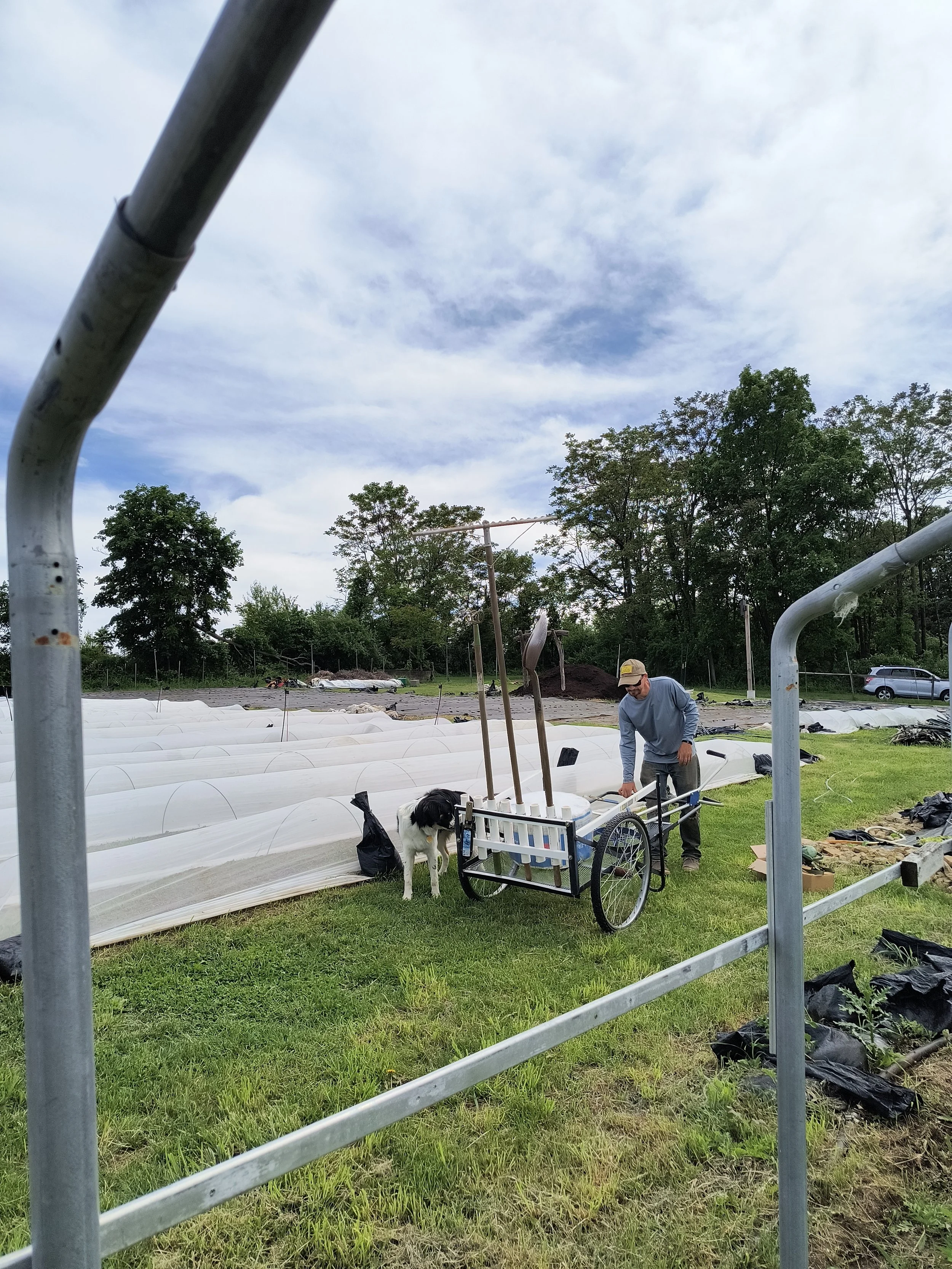 1000017707 - Copy.jpg