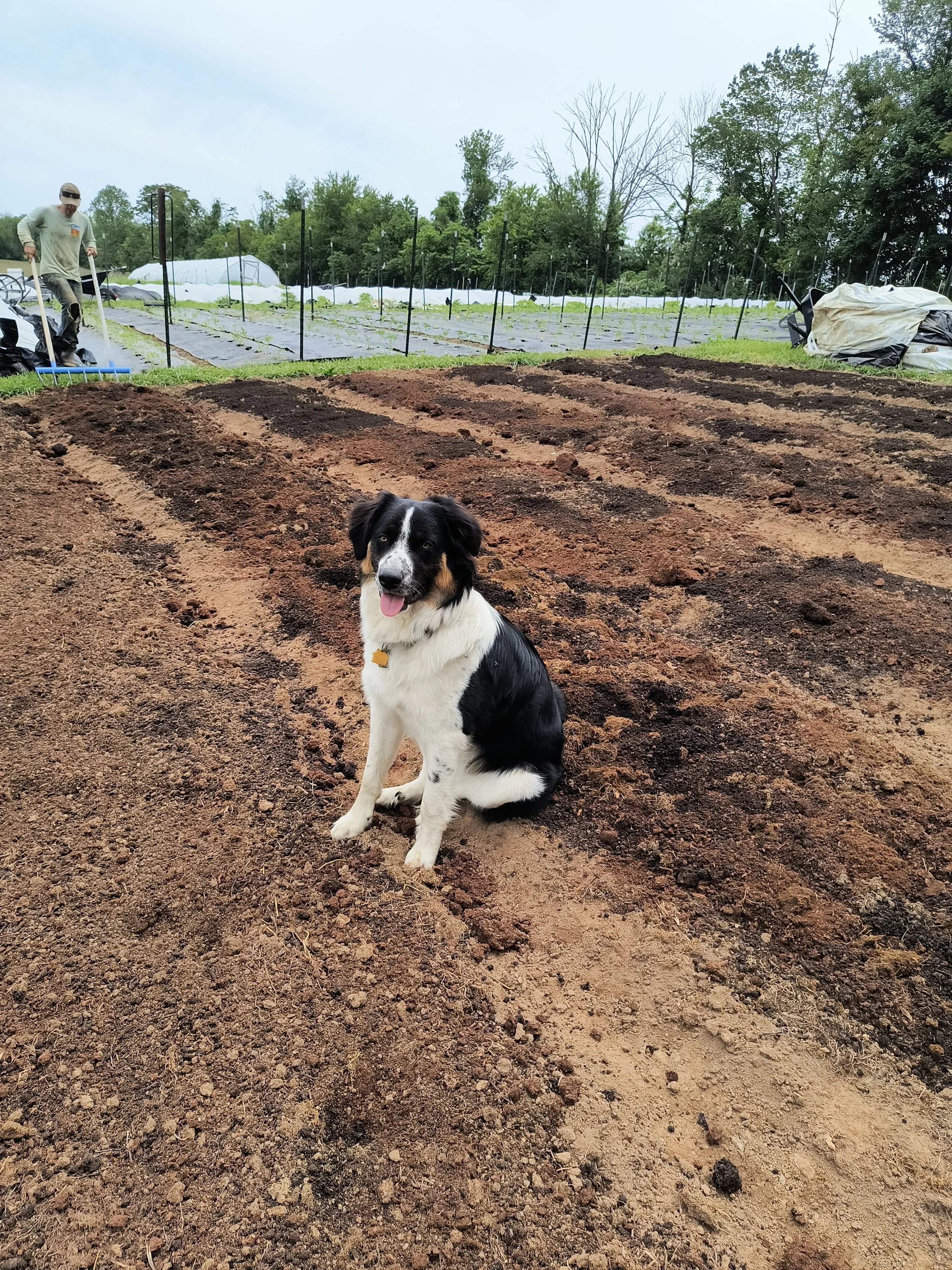 1000017876 - Copy.jpg