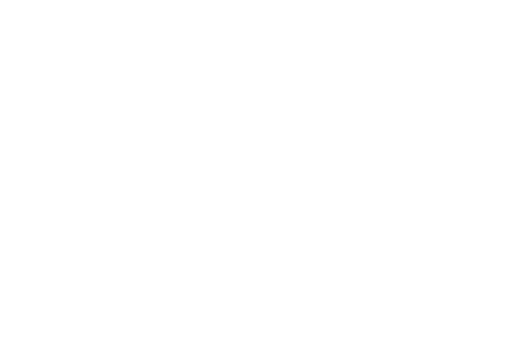 OFFICIAL SELECTION - Albany FilmFest - 2024 (1).png
