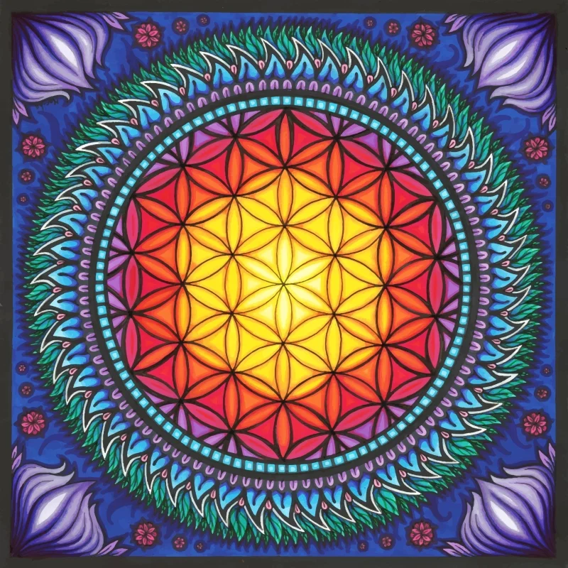 flower-of-life-mandala-20x20-for-print-stor.jpg