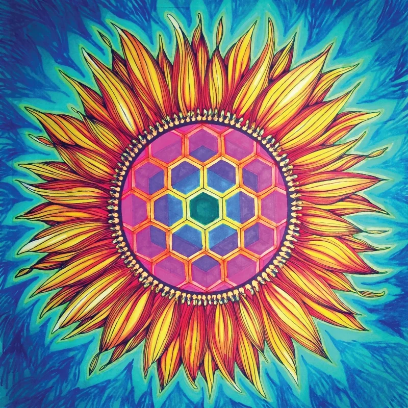 sunflower geometry markers on paper.jpg