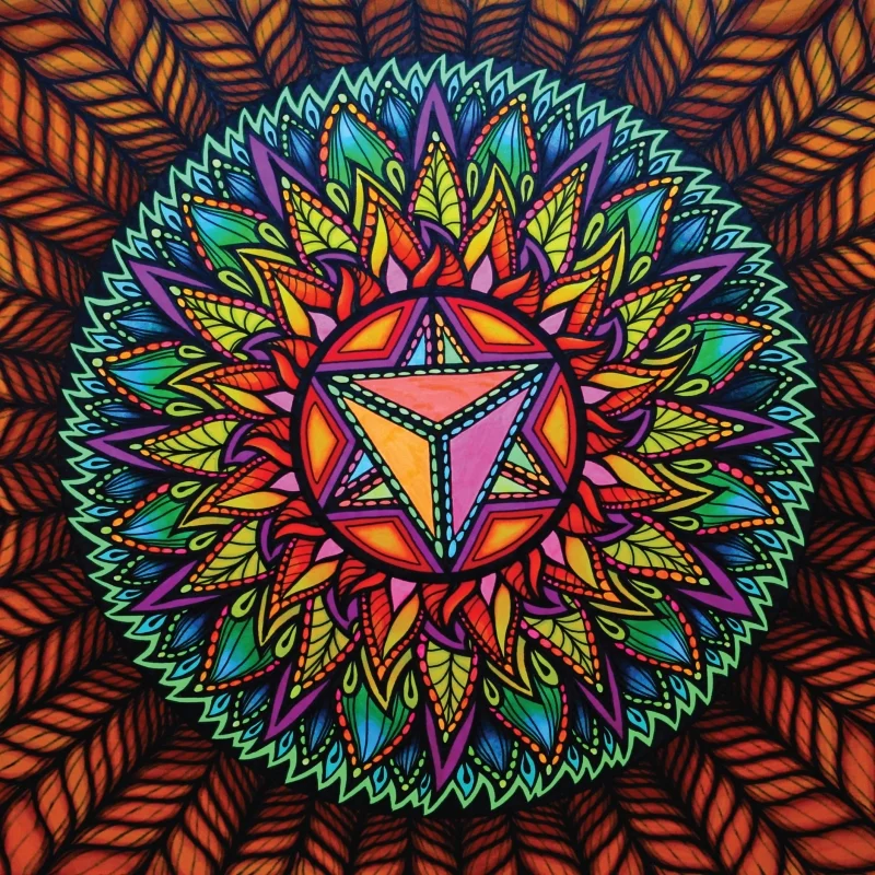 forest-star-20x20-for-print-stor.jpg