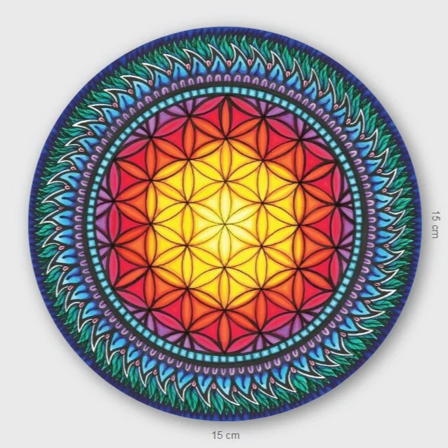 0007 flower of life big.jpg