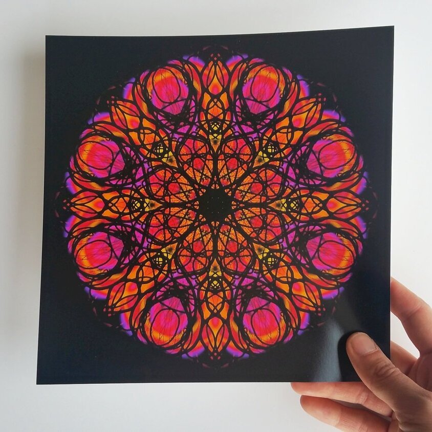 orange flower poster small 1.jpg
