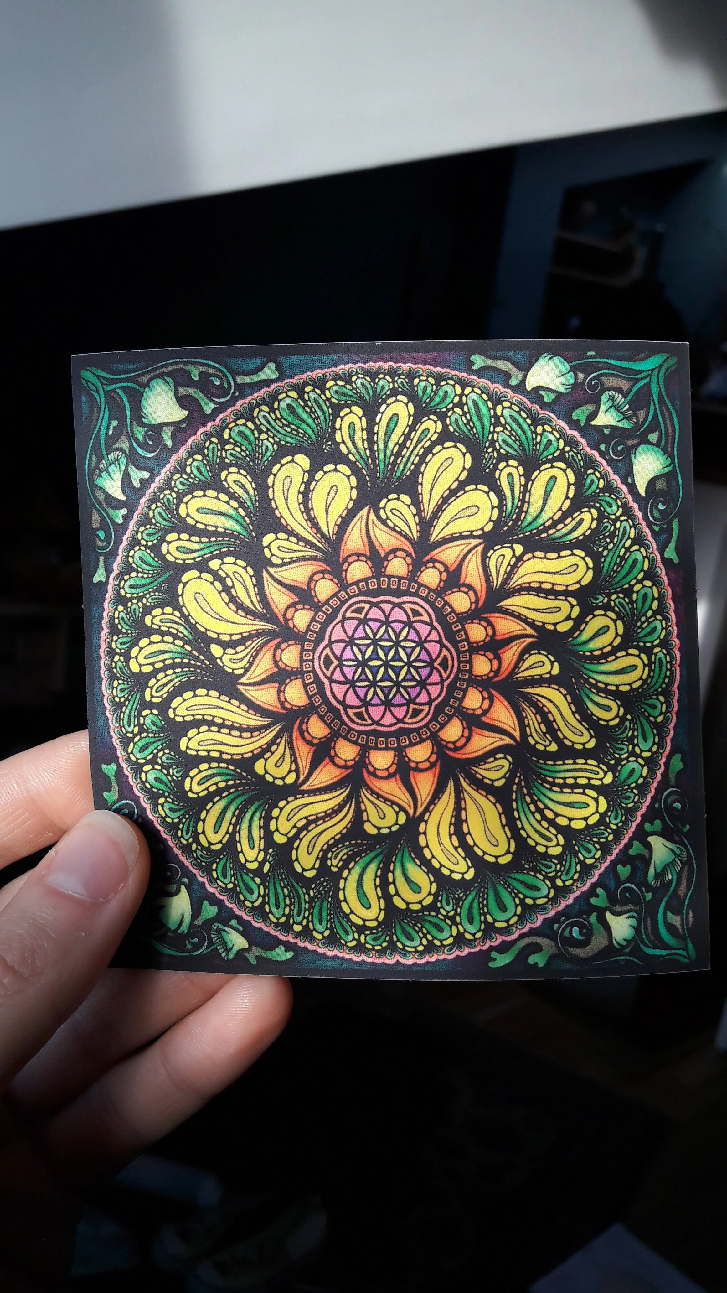 2020-11-14 12.47.19.jpg