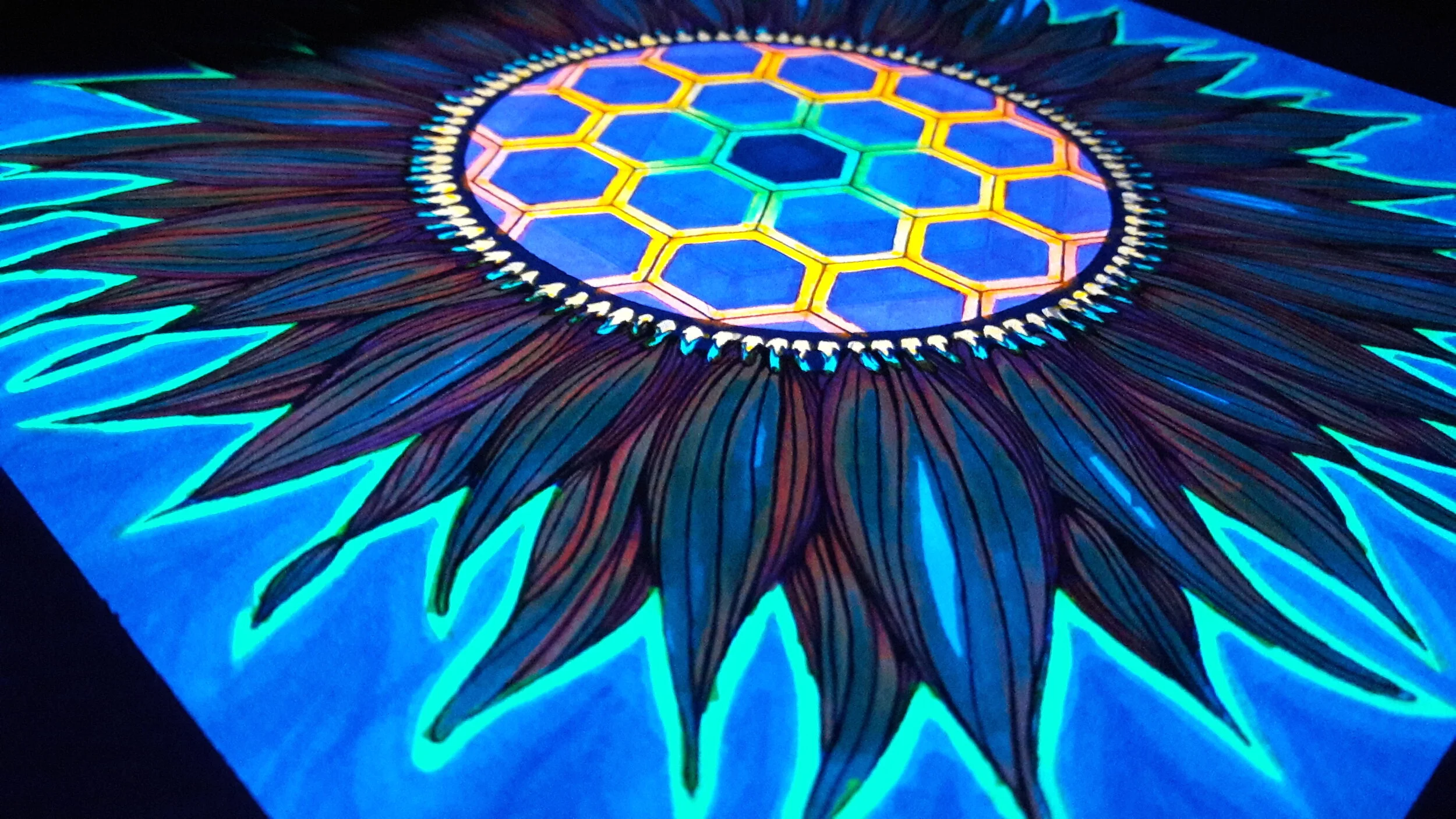 hegagonal sunflower blacklight side view.jpg