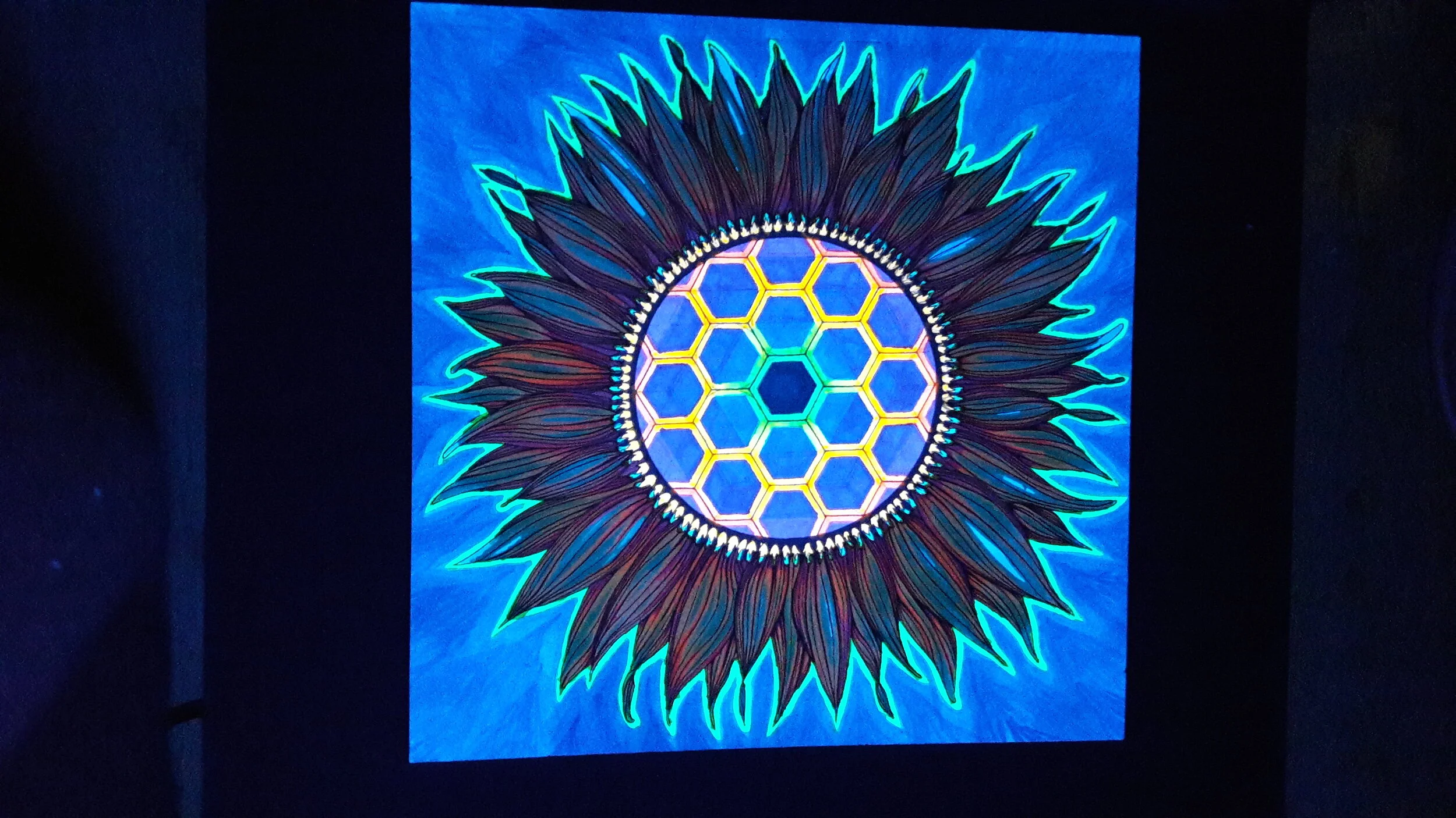 hexagonal sunflower blacklight 2.jpg