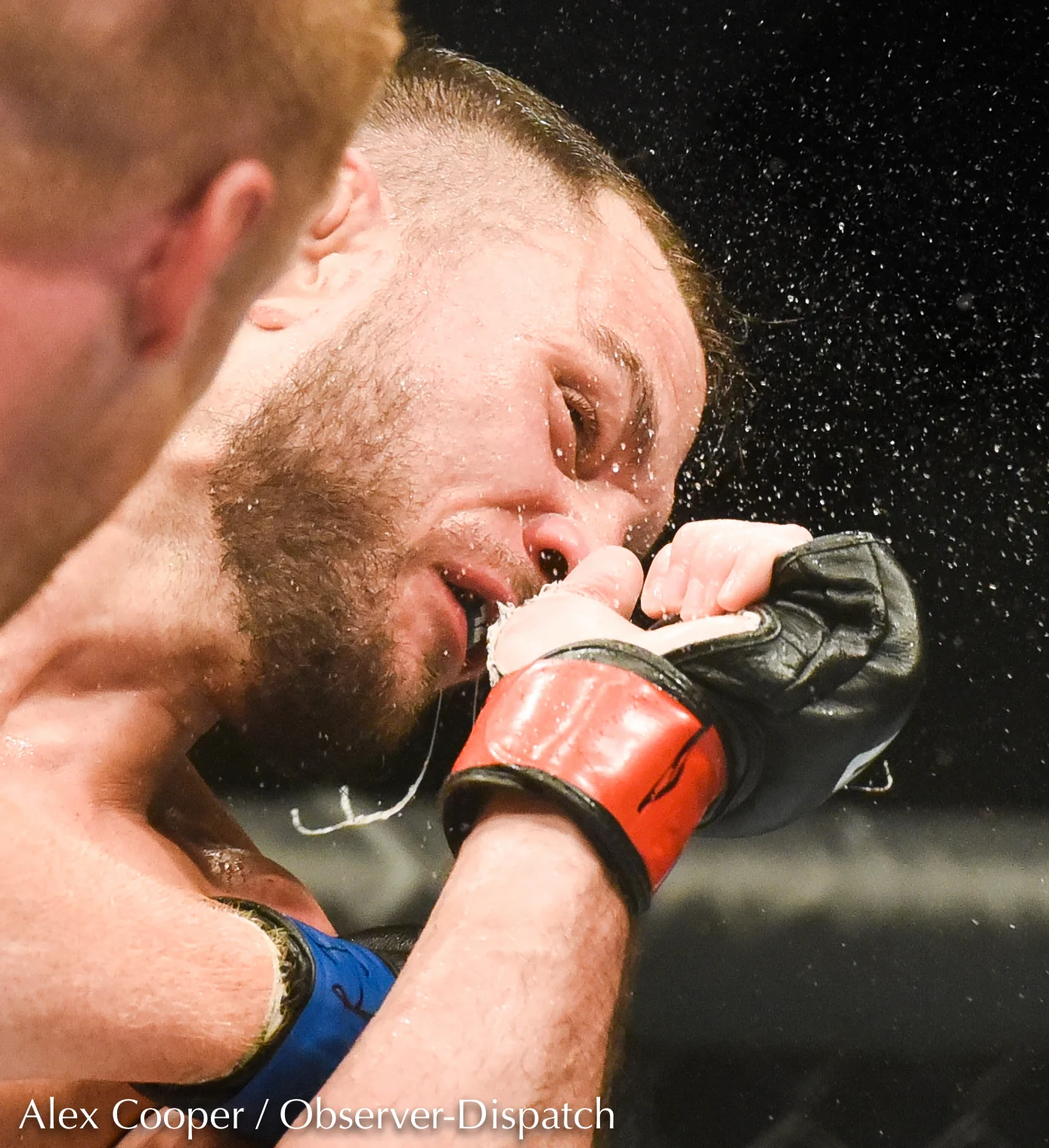 1010955803 NY_UT_ufc_wm-1.jpg