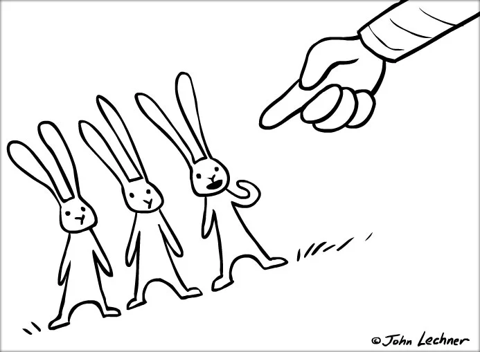 designate — Dreams 'N Motion