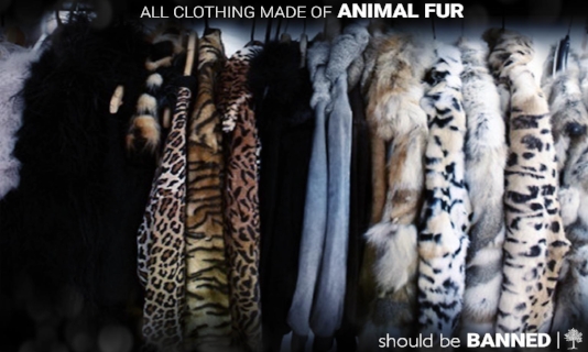 All clothing made with fur/skin should be banned — Dreams 'N Motion