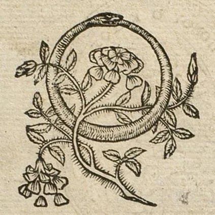Ouroboros.jpg