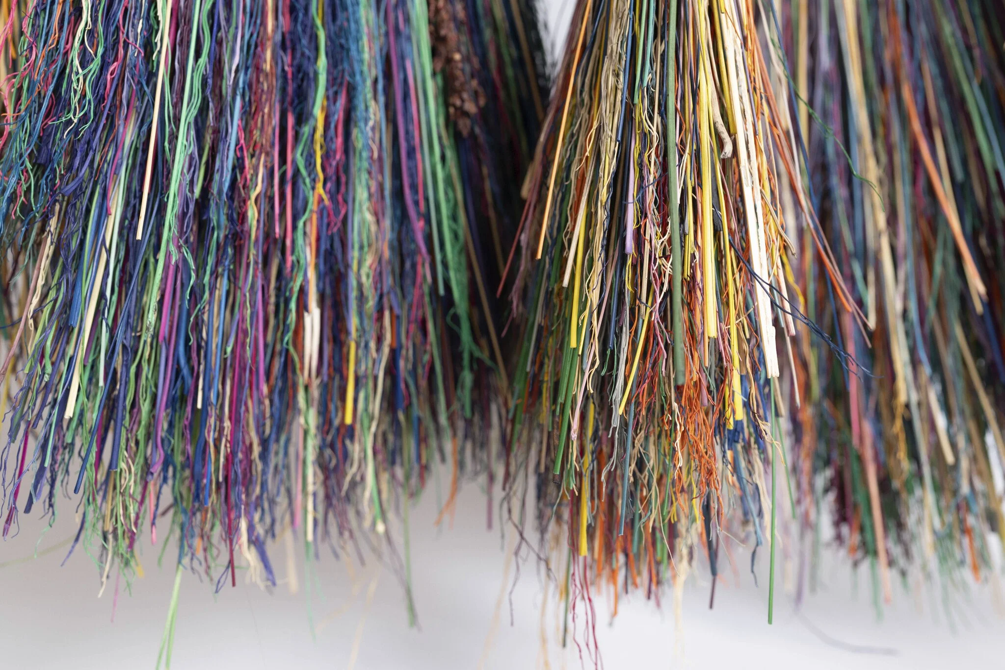 floorcorn closeup.jpg