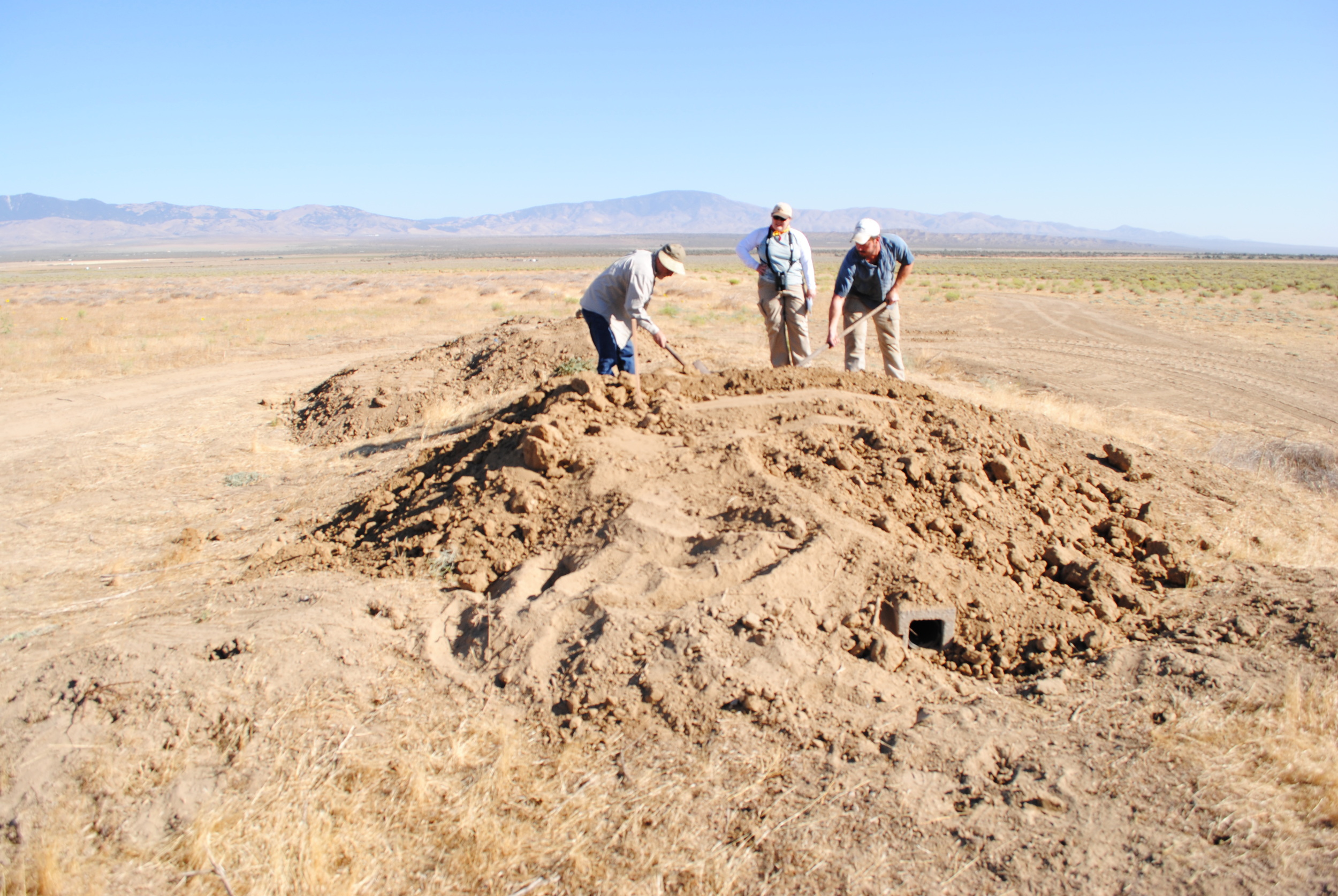 NGRA habitat assessment studies for burrowing owls.