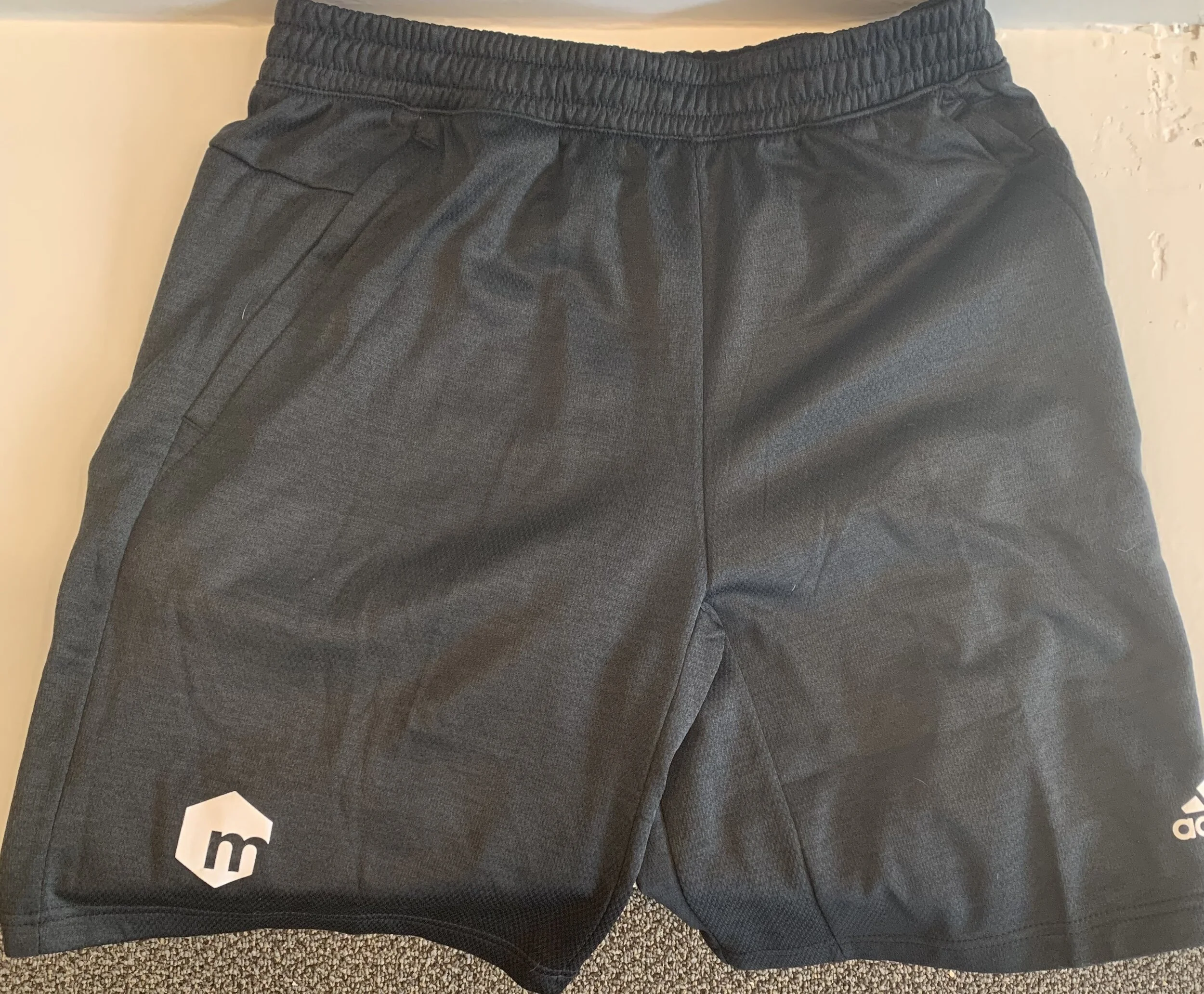 adidas coaching shorts with pockets