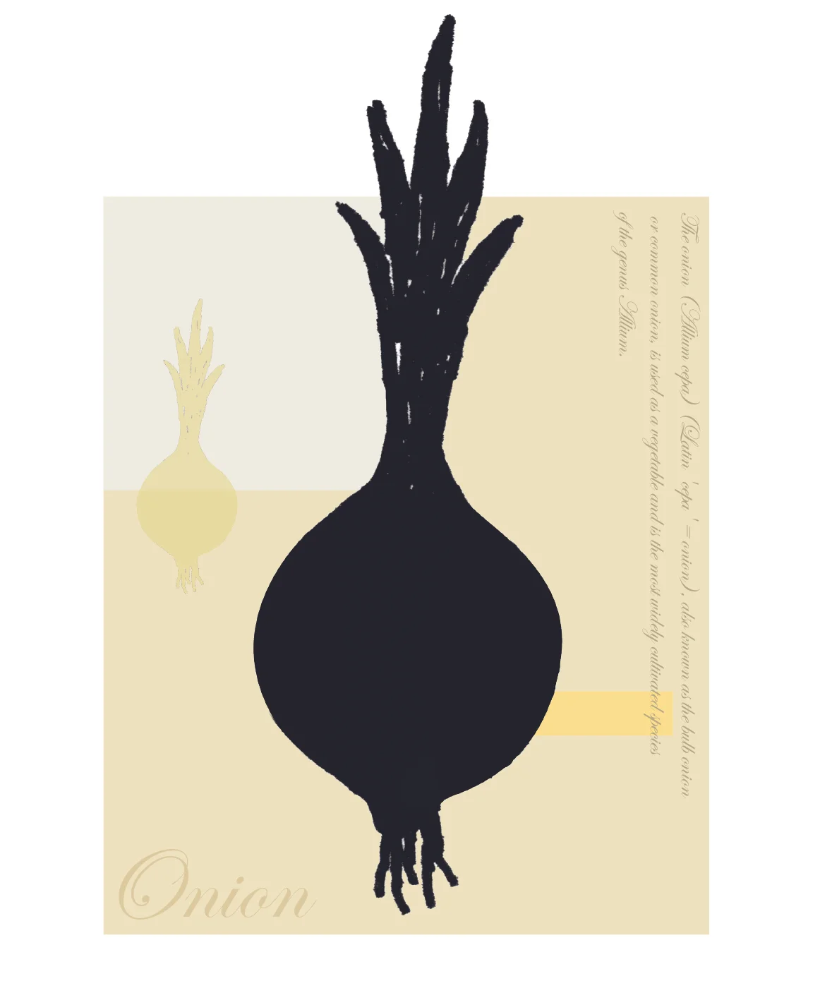 Onion1500.jpg