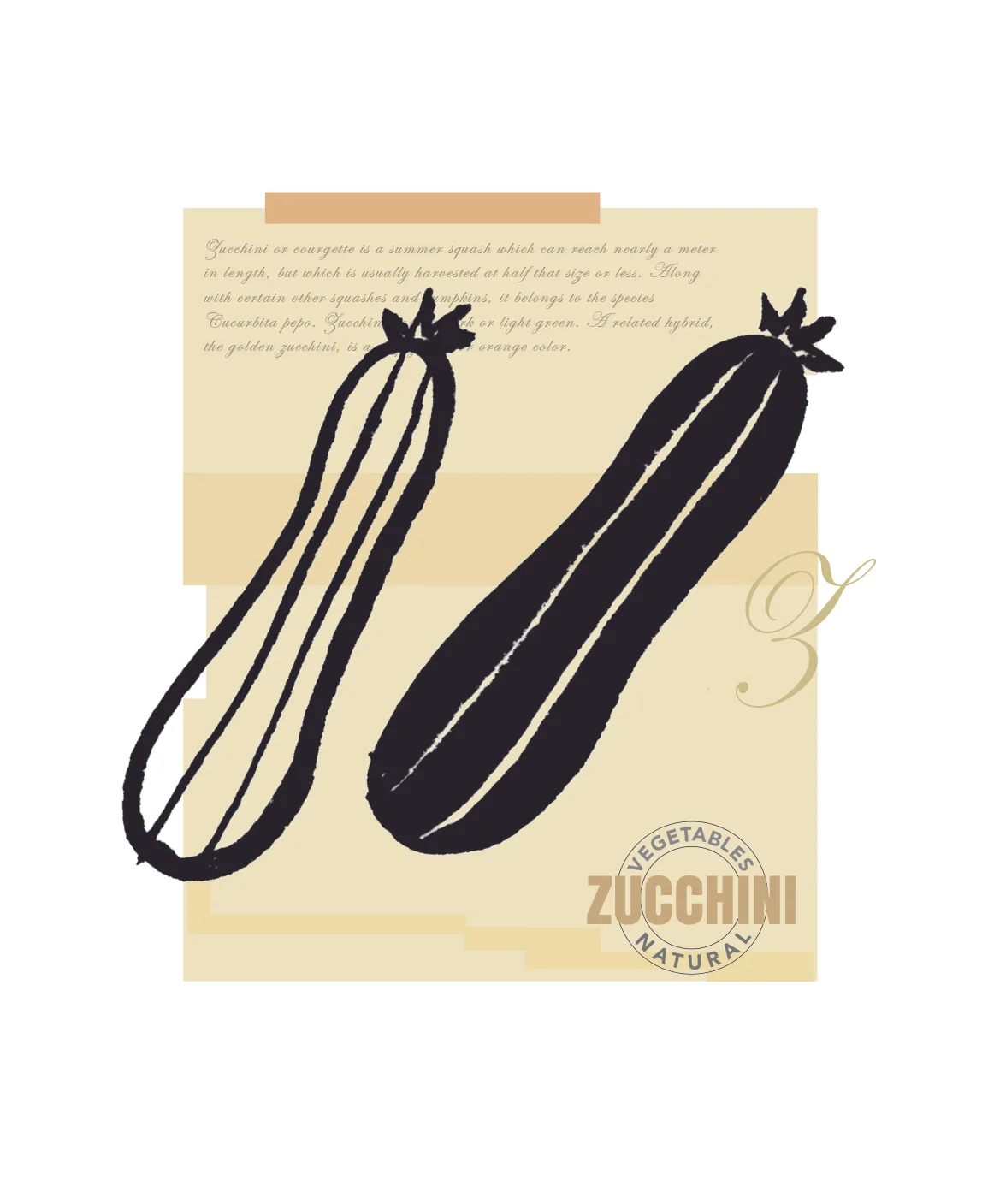 zuchini1500.jpg