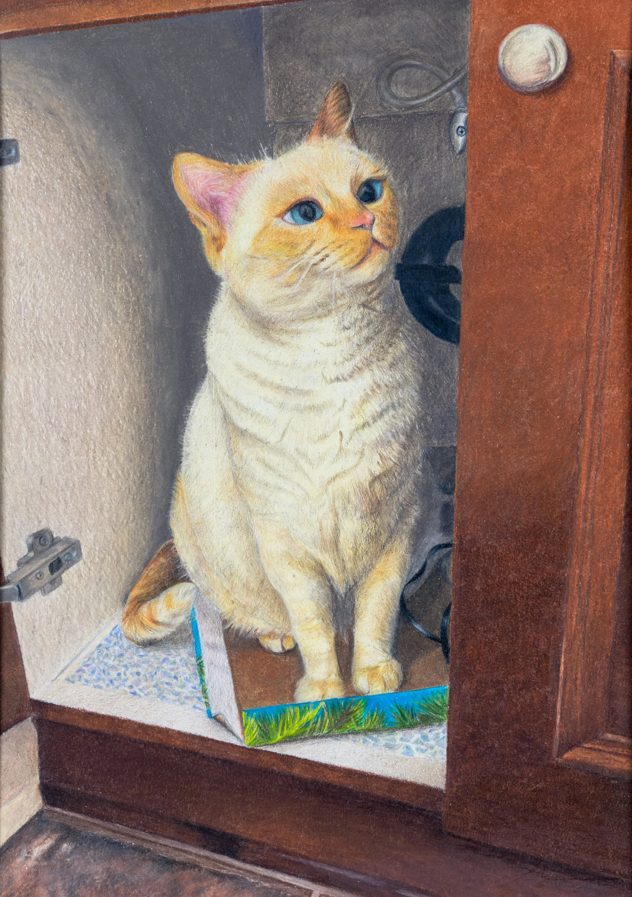 17-Katherine_Han-Cat_Under_The_Sink.jpg