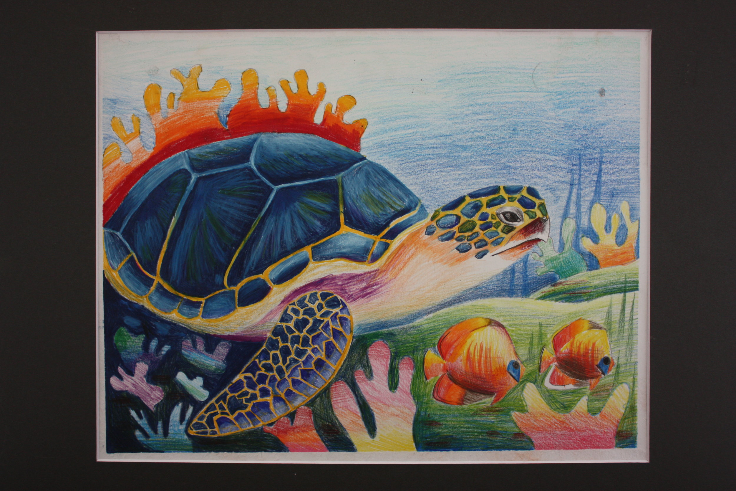 Jenny Wu_ 9_ The Turtle_ Maya Li Art Studio.JPG