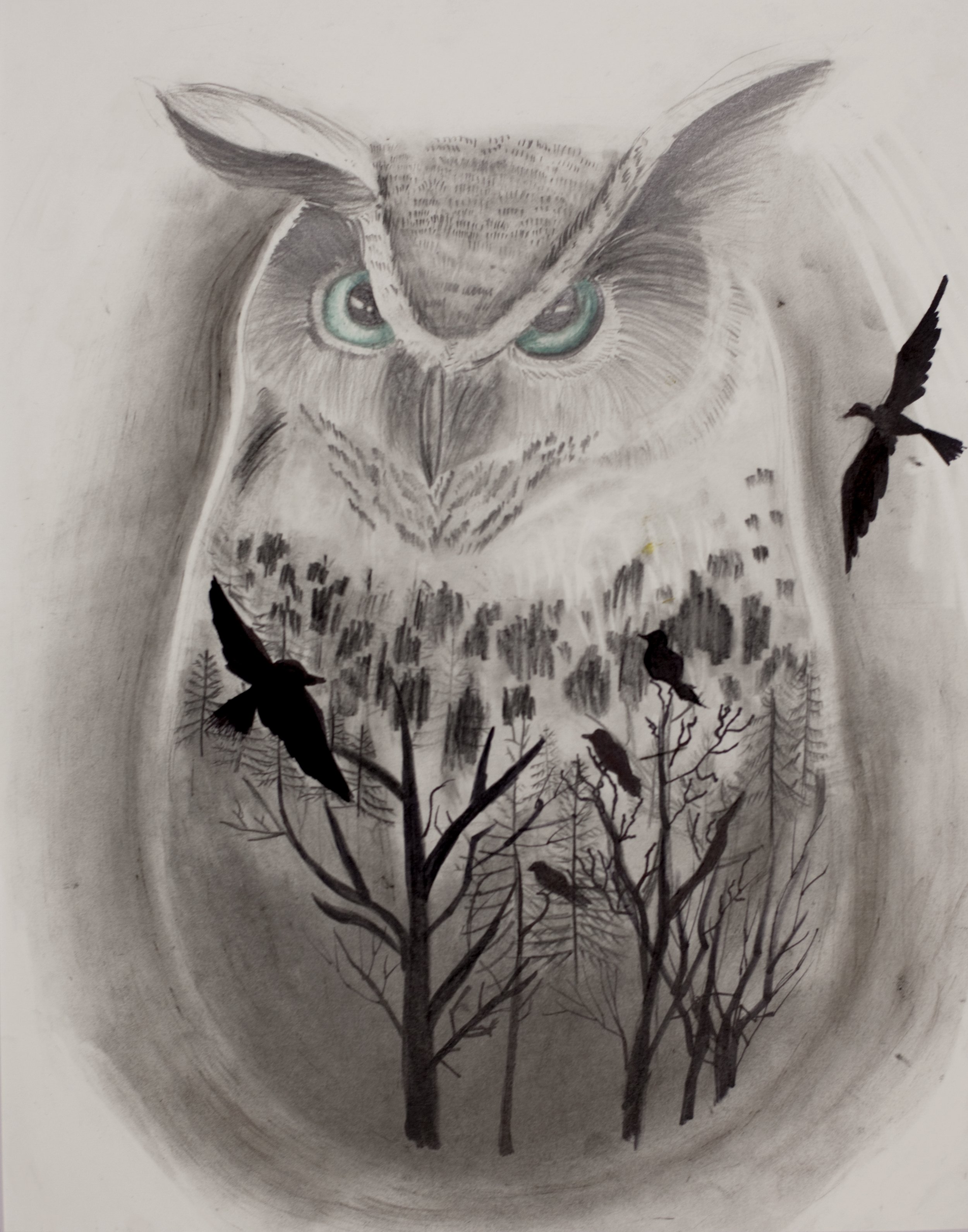 Audrey Blum - The Midnight Owl