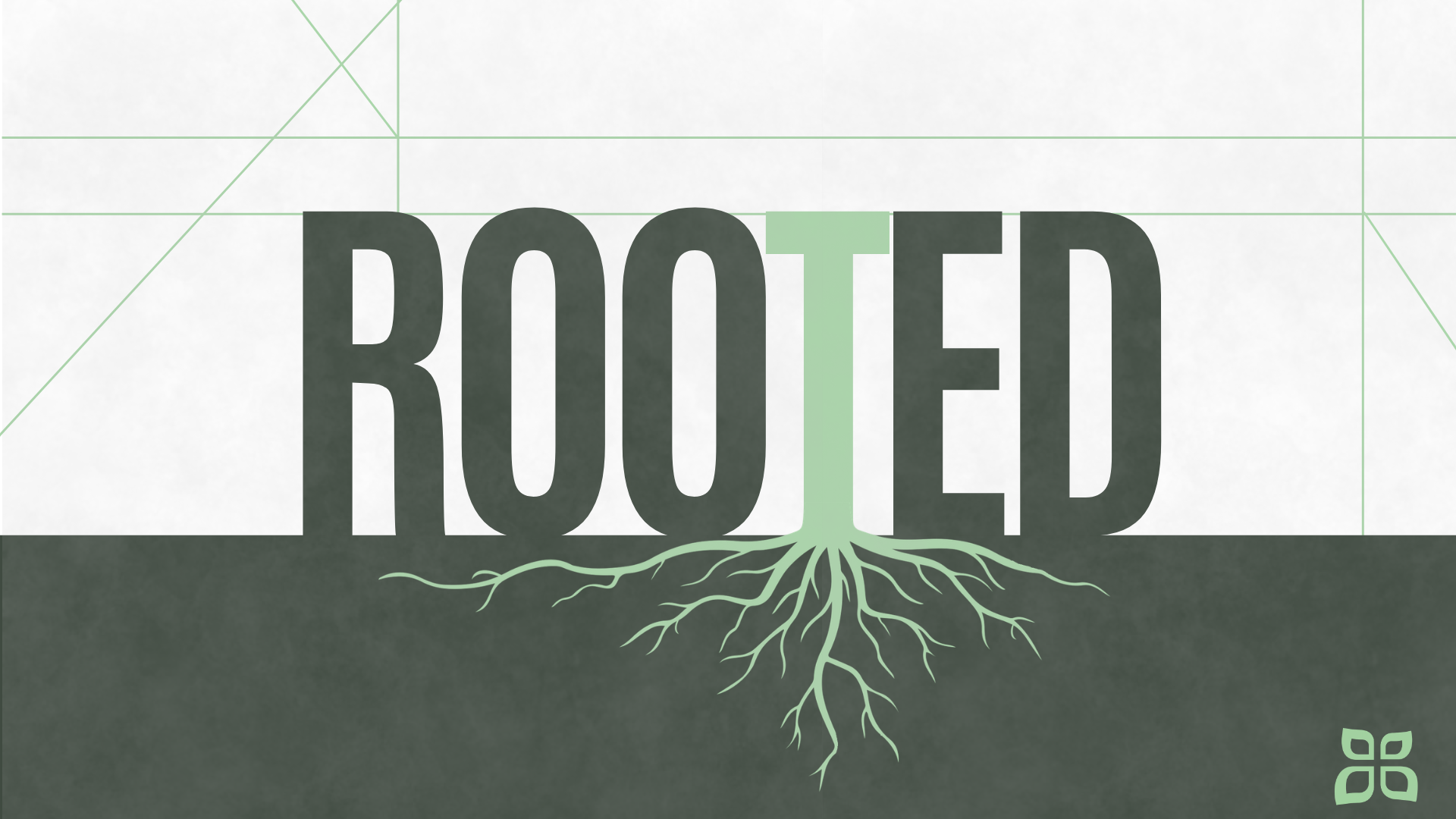 Growth Track: Rooted