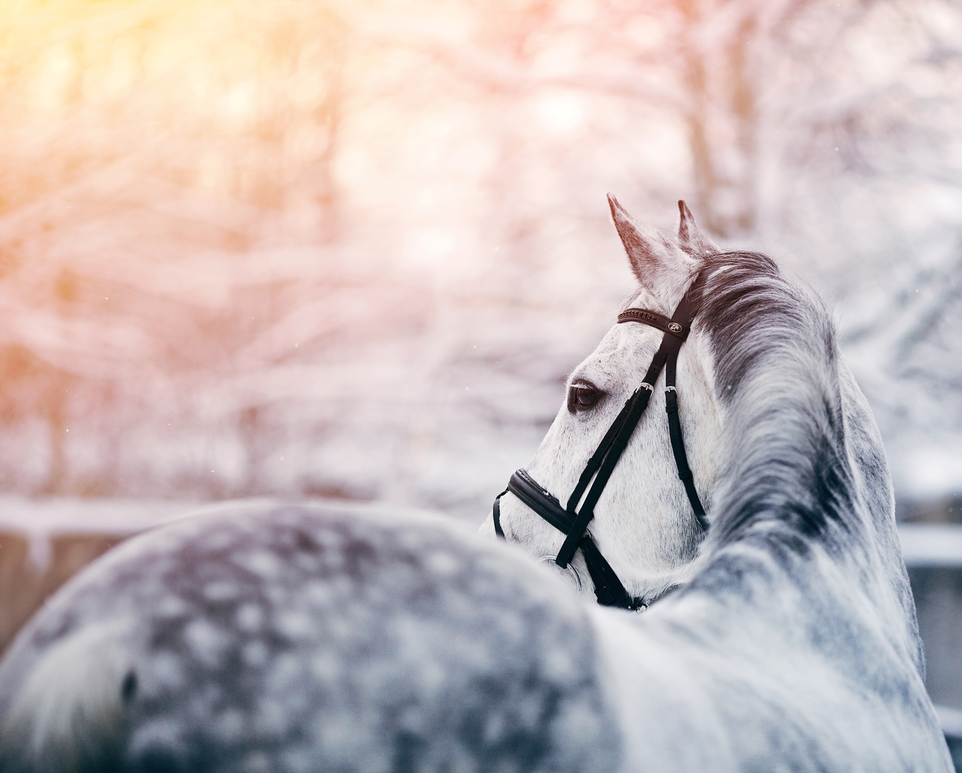 Photo by Azaliya/iStock / Getty Images