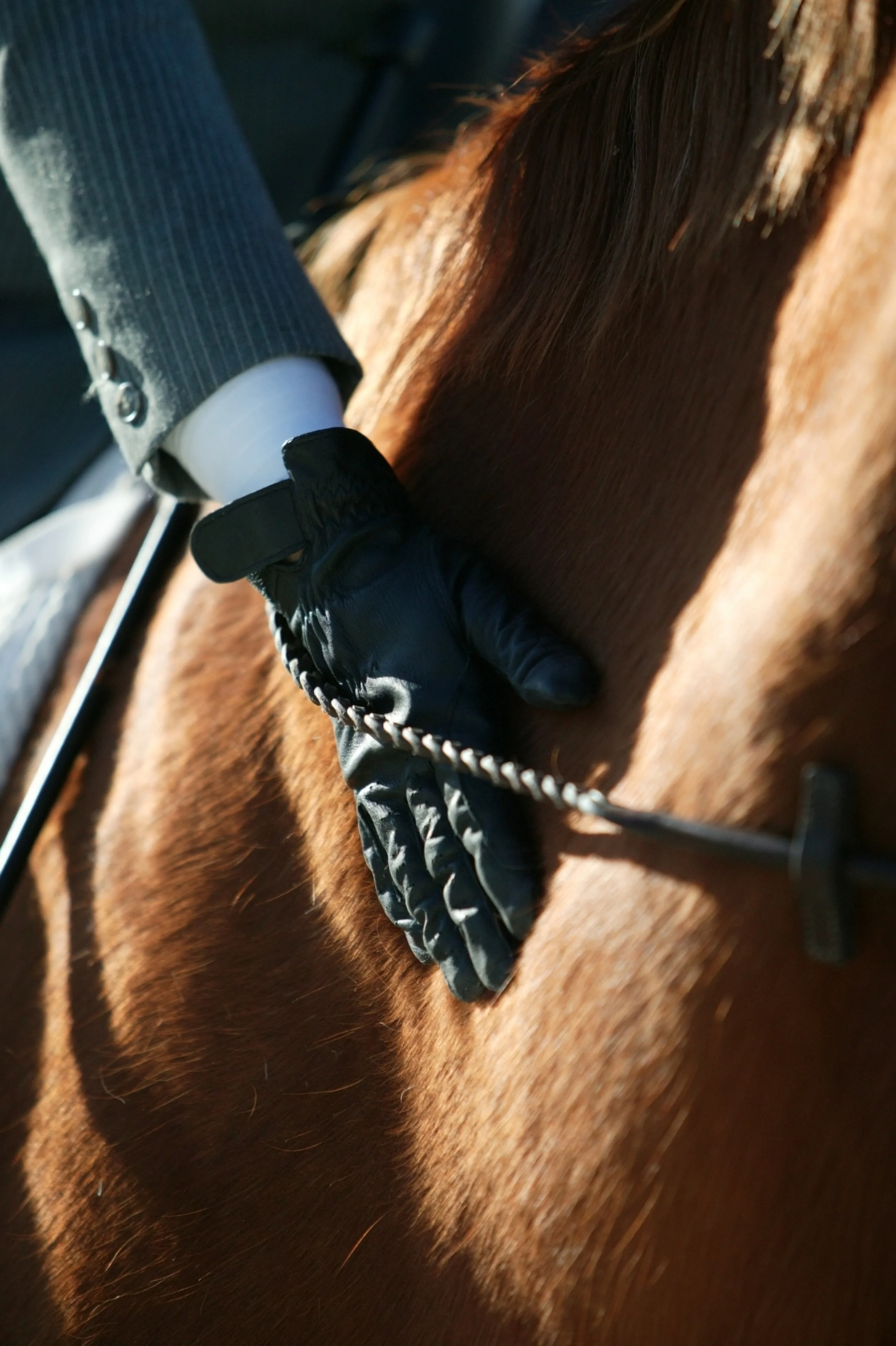 When I Ride My Horse vs. When My Instructor Rides My Horse