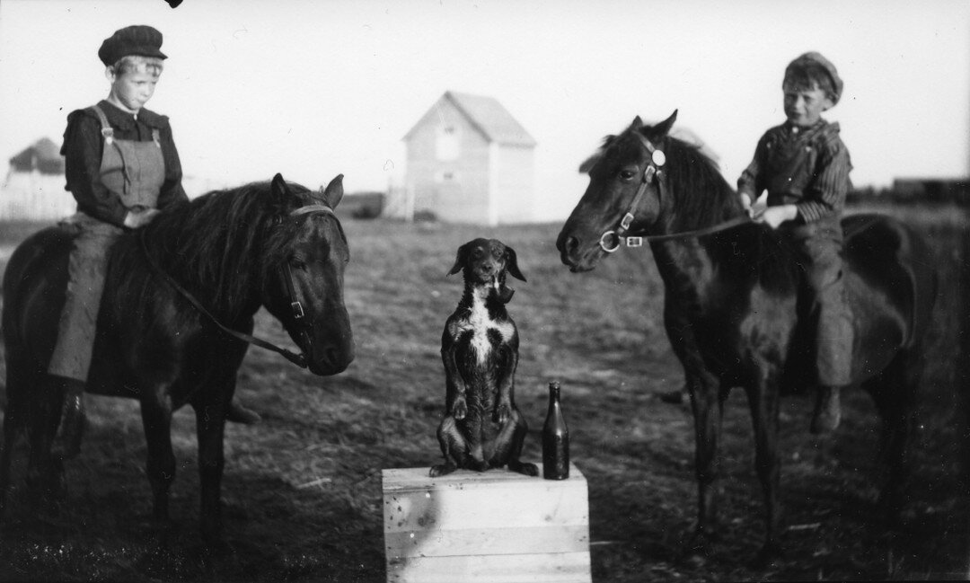 A photo of two young boys and their pipe smoking dog. Prince Albert, SK, circa 1910. 

Image Credit: Provincial Archives of Saskatchewan

#saskchewanlife #dogsofinstagram #canadianhistory #thisiscanadiana