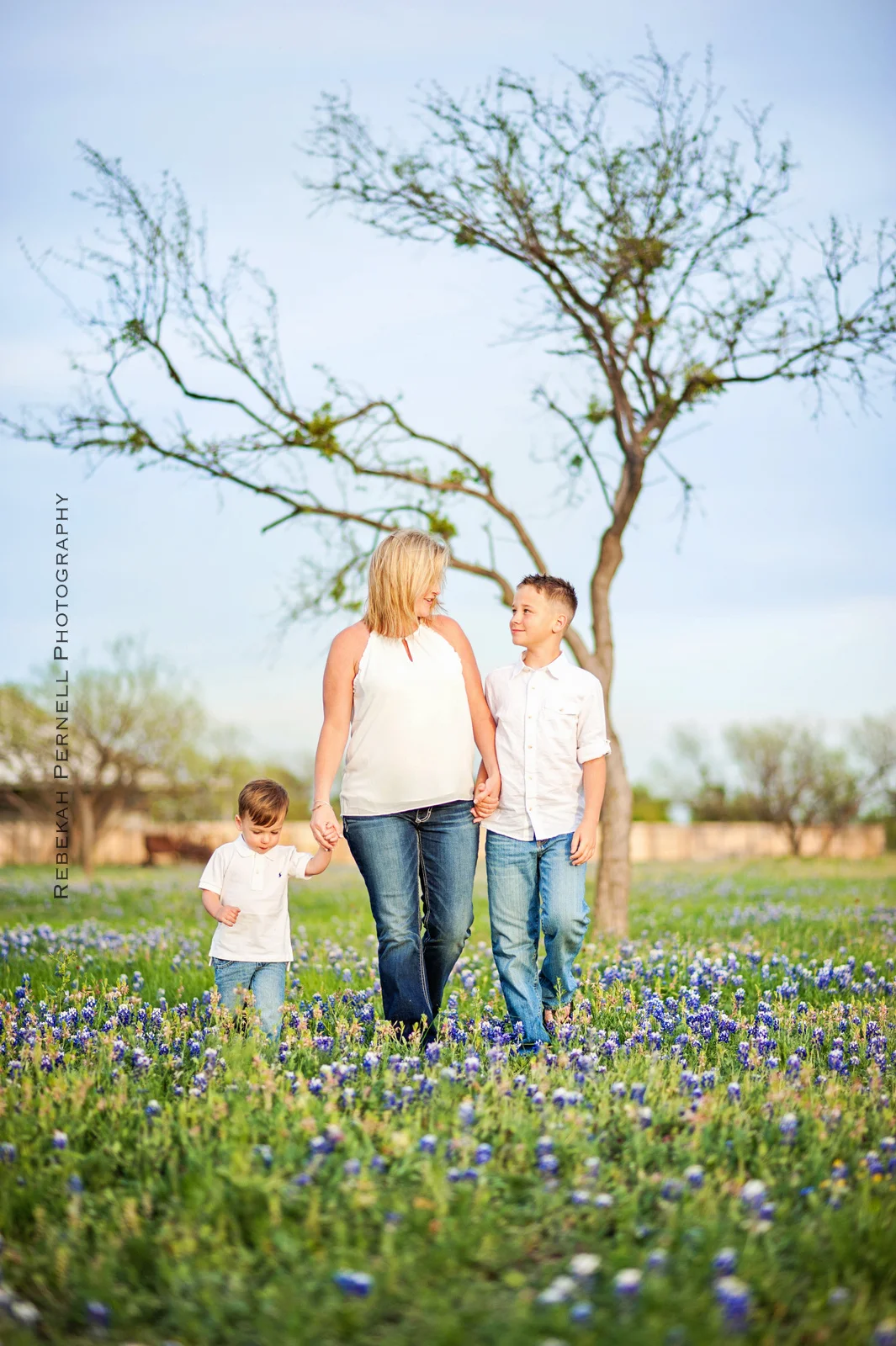 Bluebonnet-009.jpg