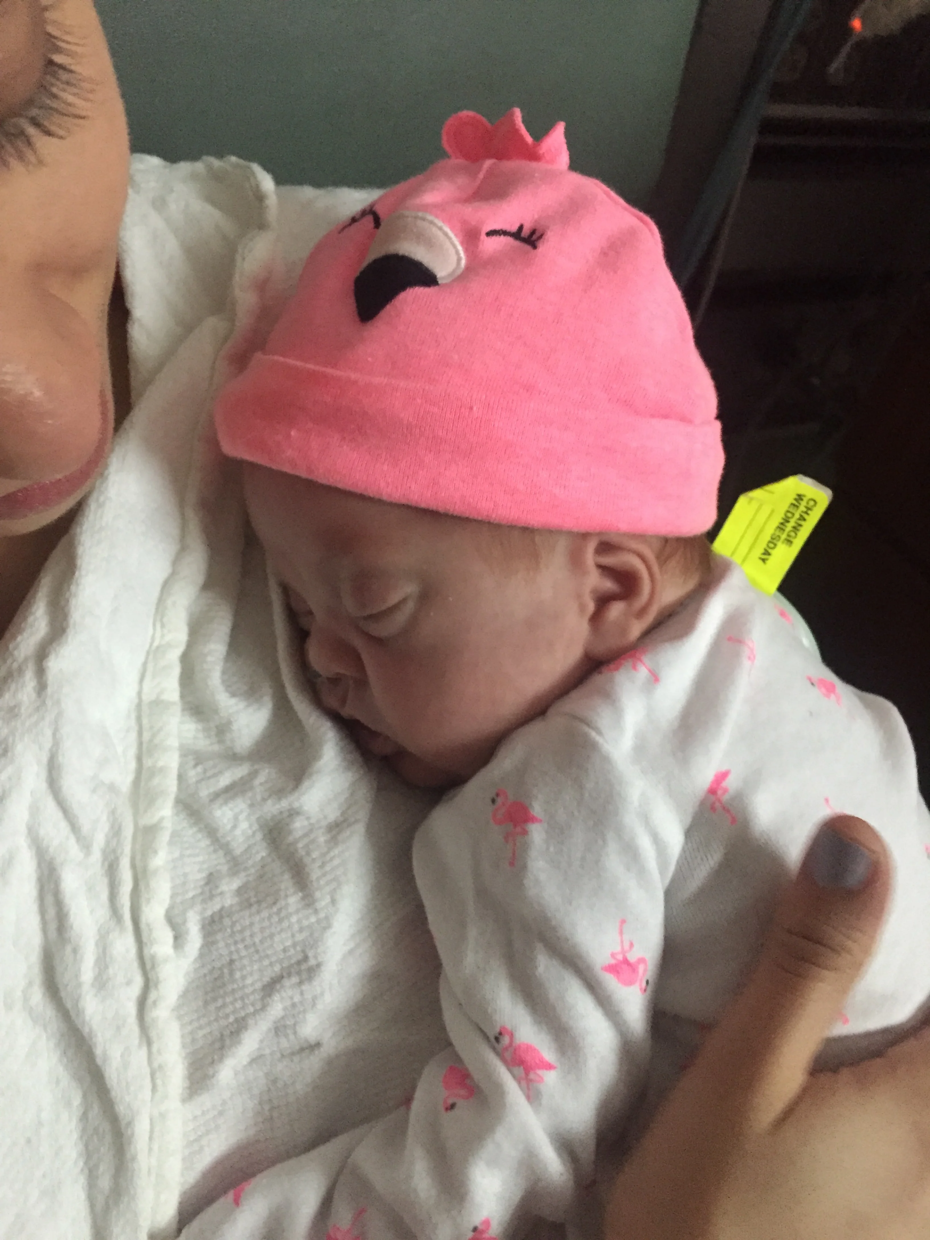 Our little flamingo.