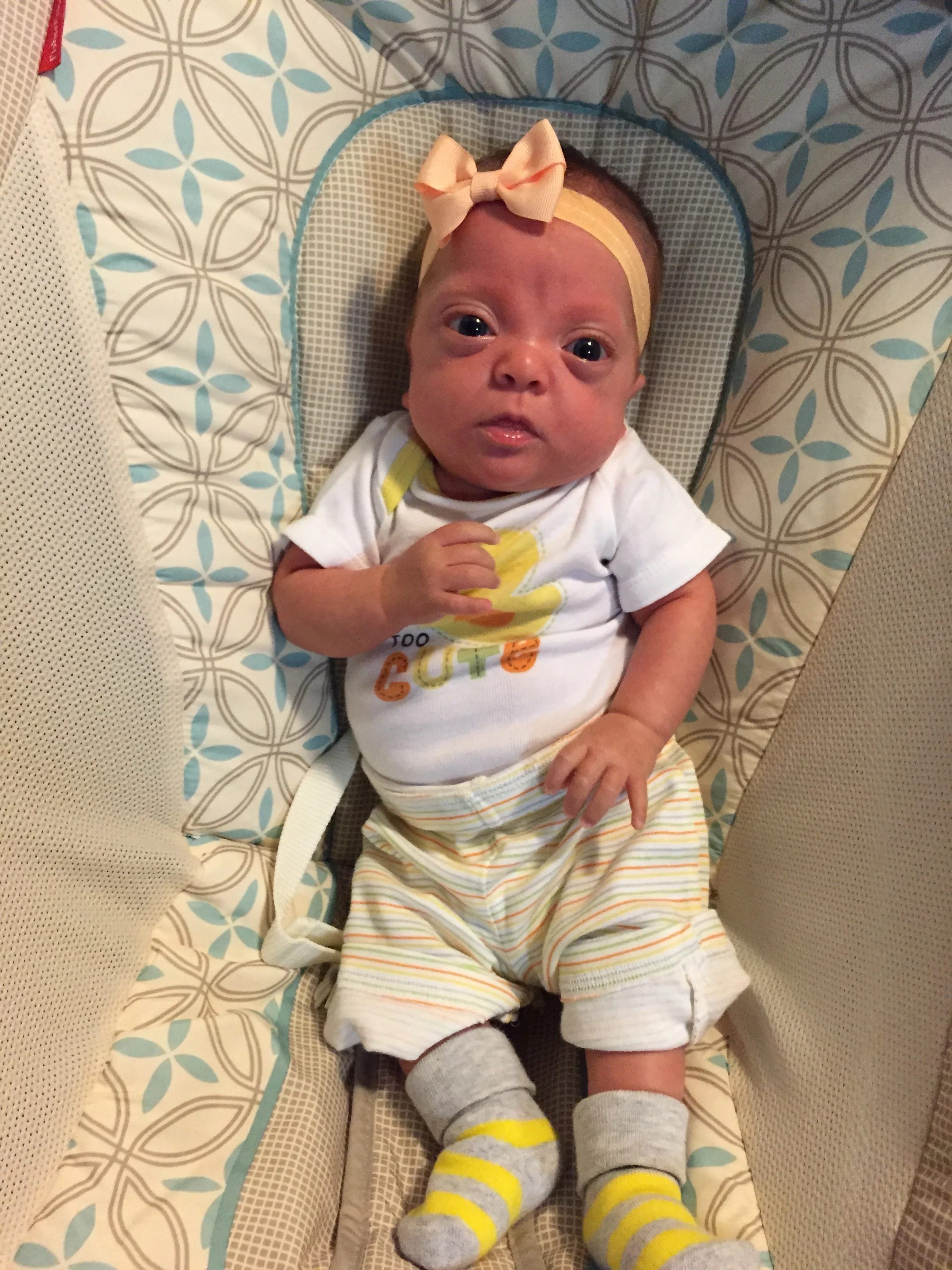 "Too Cute" has never been more true.