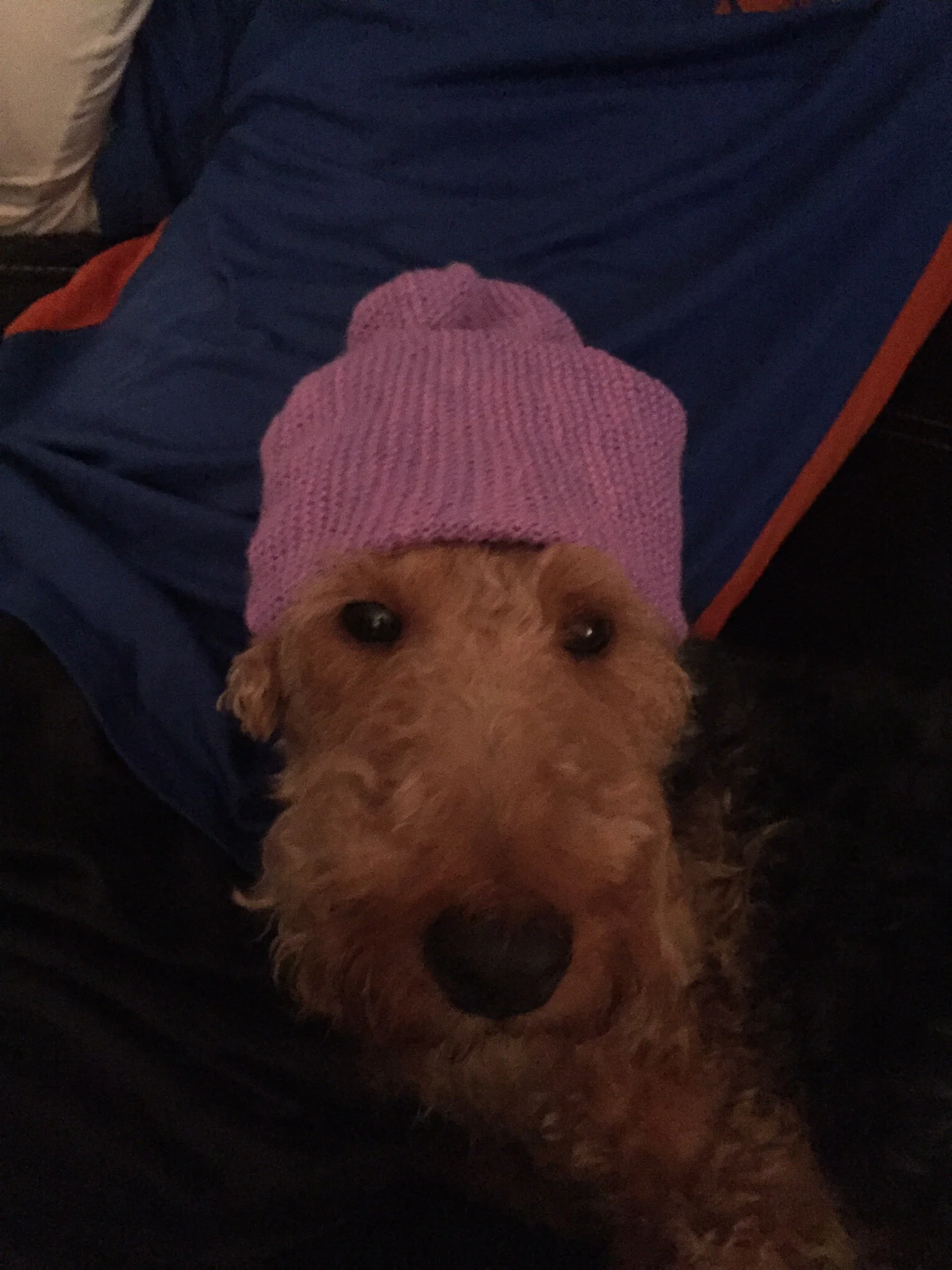 Drea finally finished knitting the hat she started for Lucie when she was only 2 weeks old. Before washing it, we had Bess model it for us! Lol!