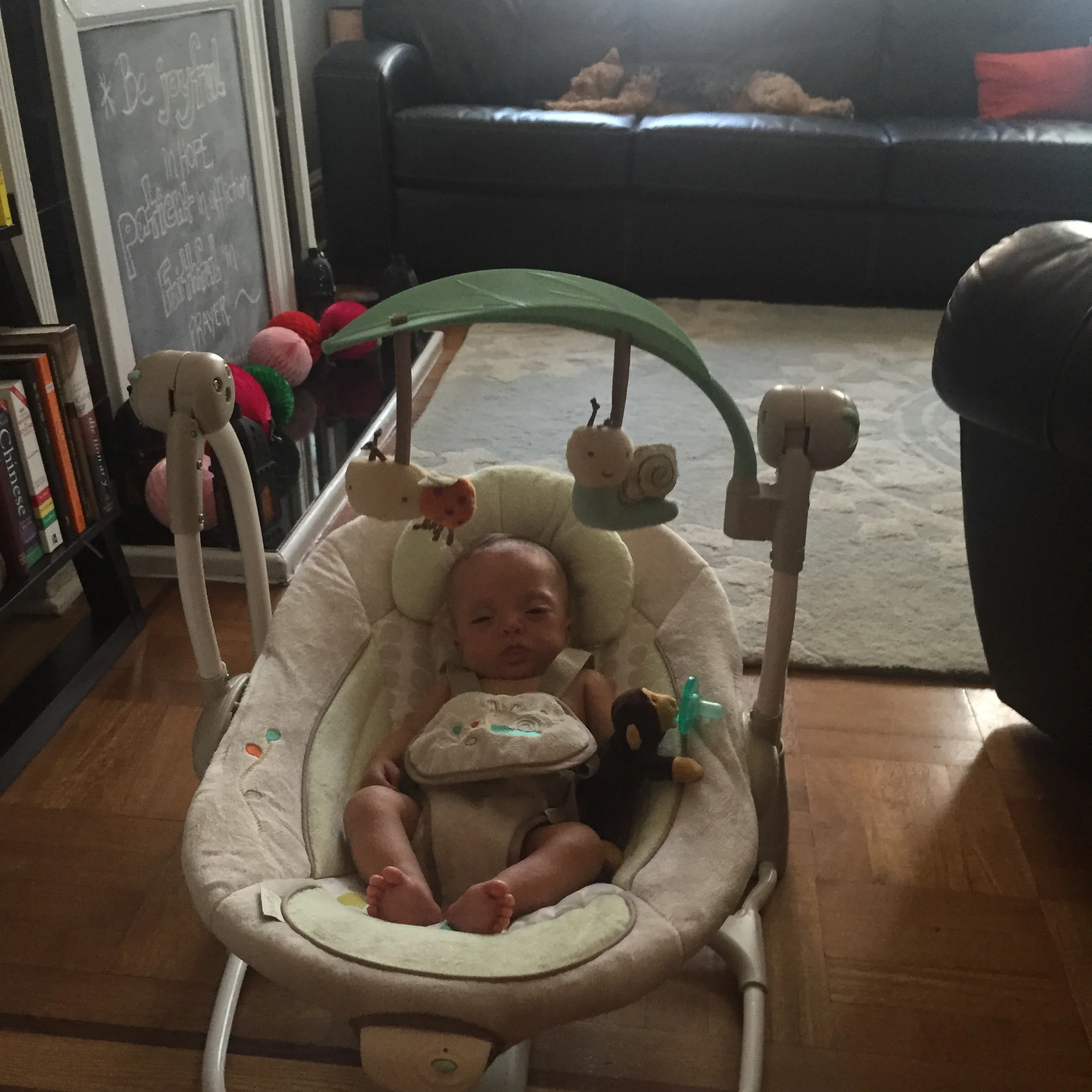Conked out in her swing, and Bess is out too in the background. Big win!