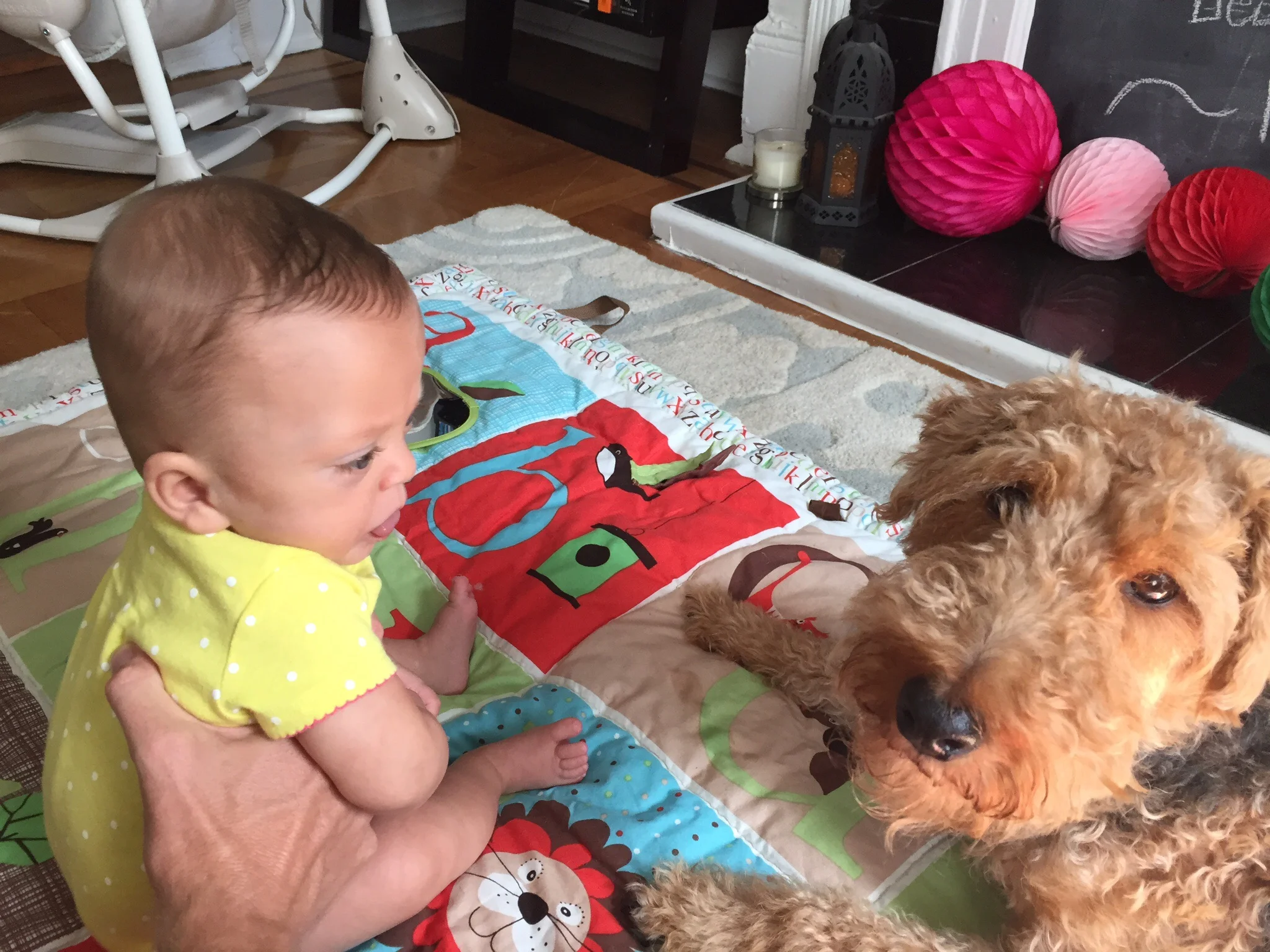 First day with papa at home! Let the fun begin!!!