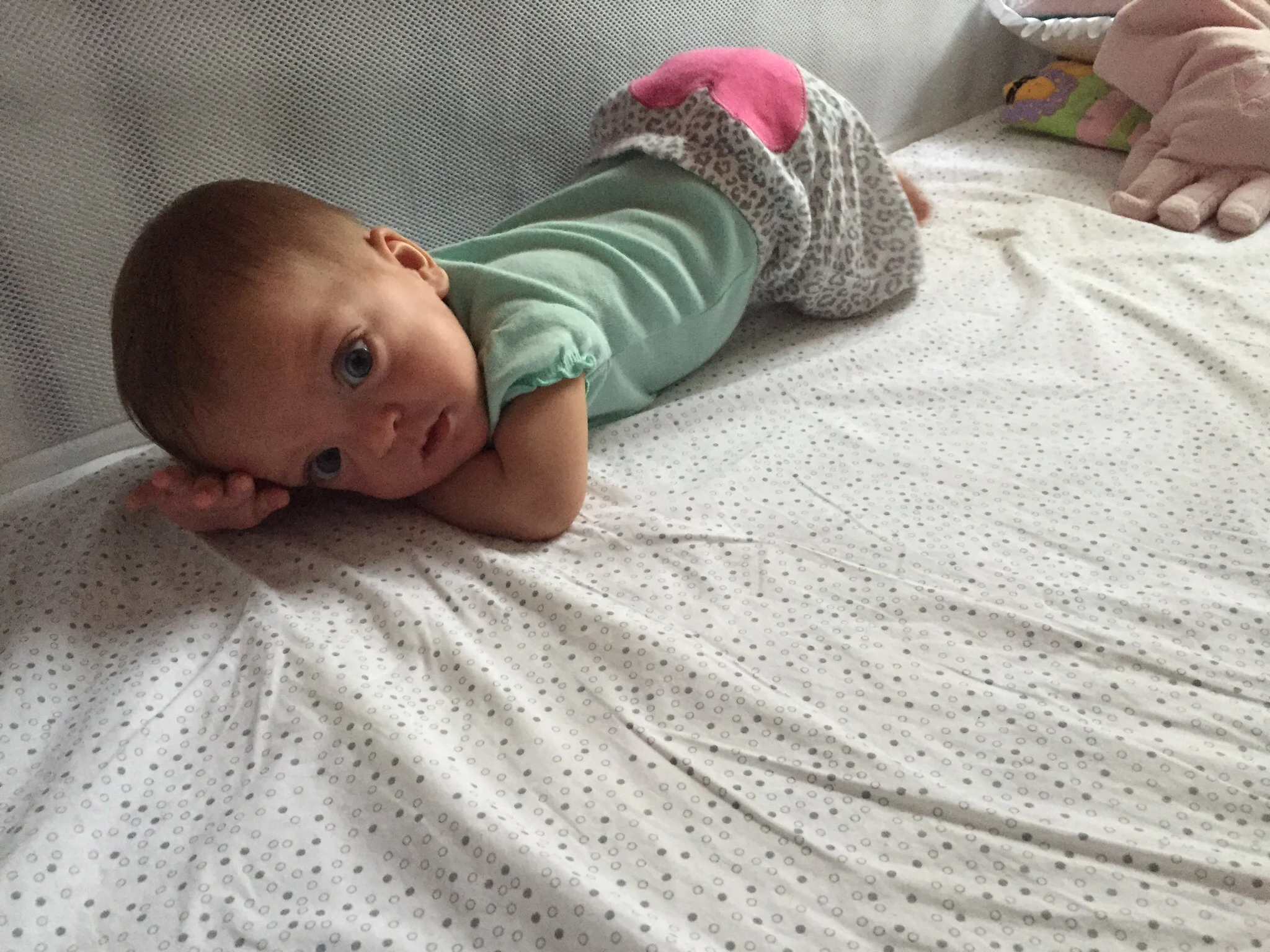 Good morning, World!