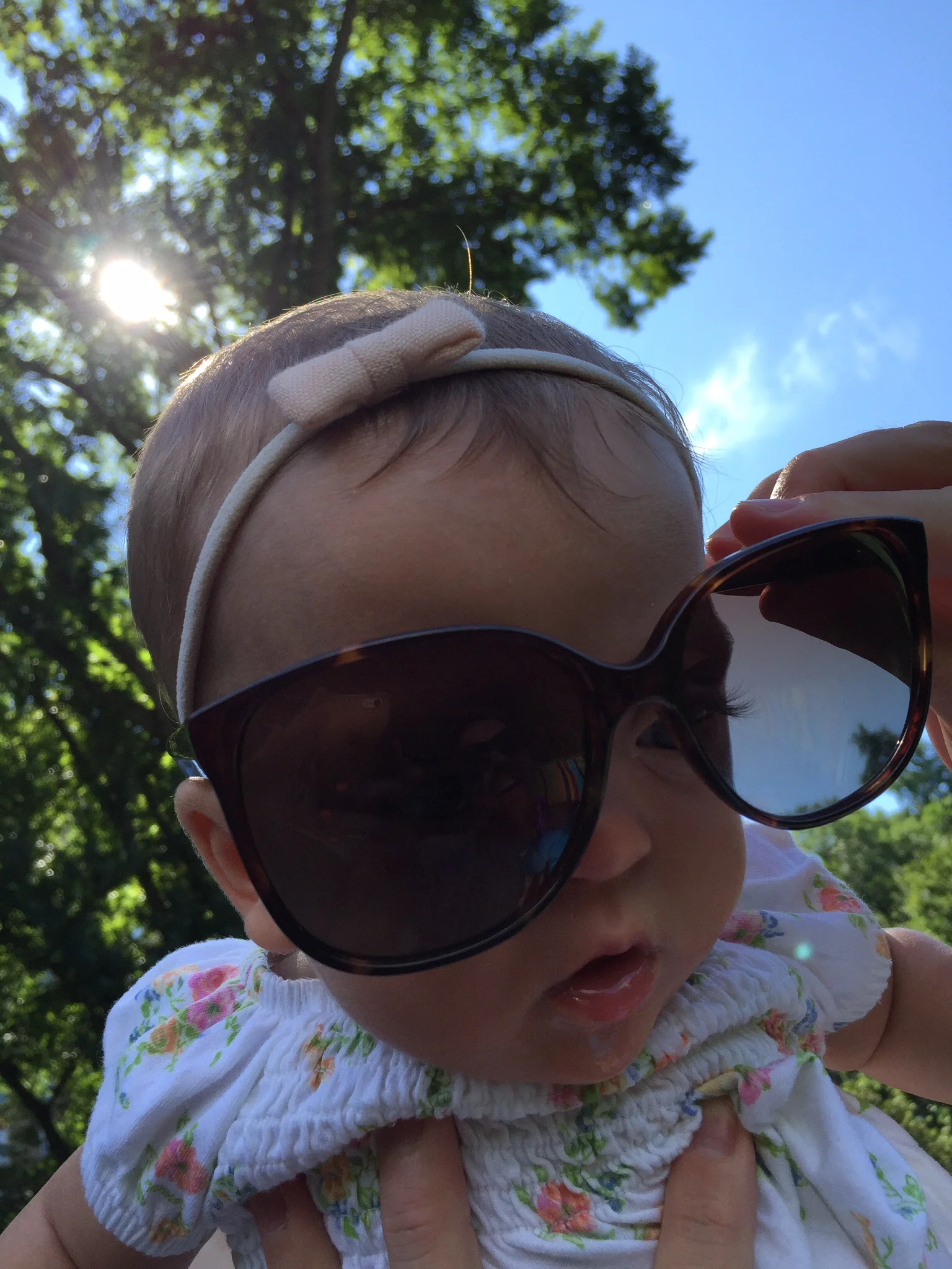 Sunshine in Central Park