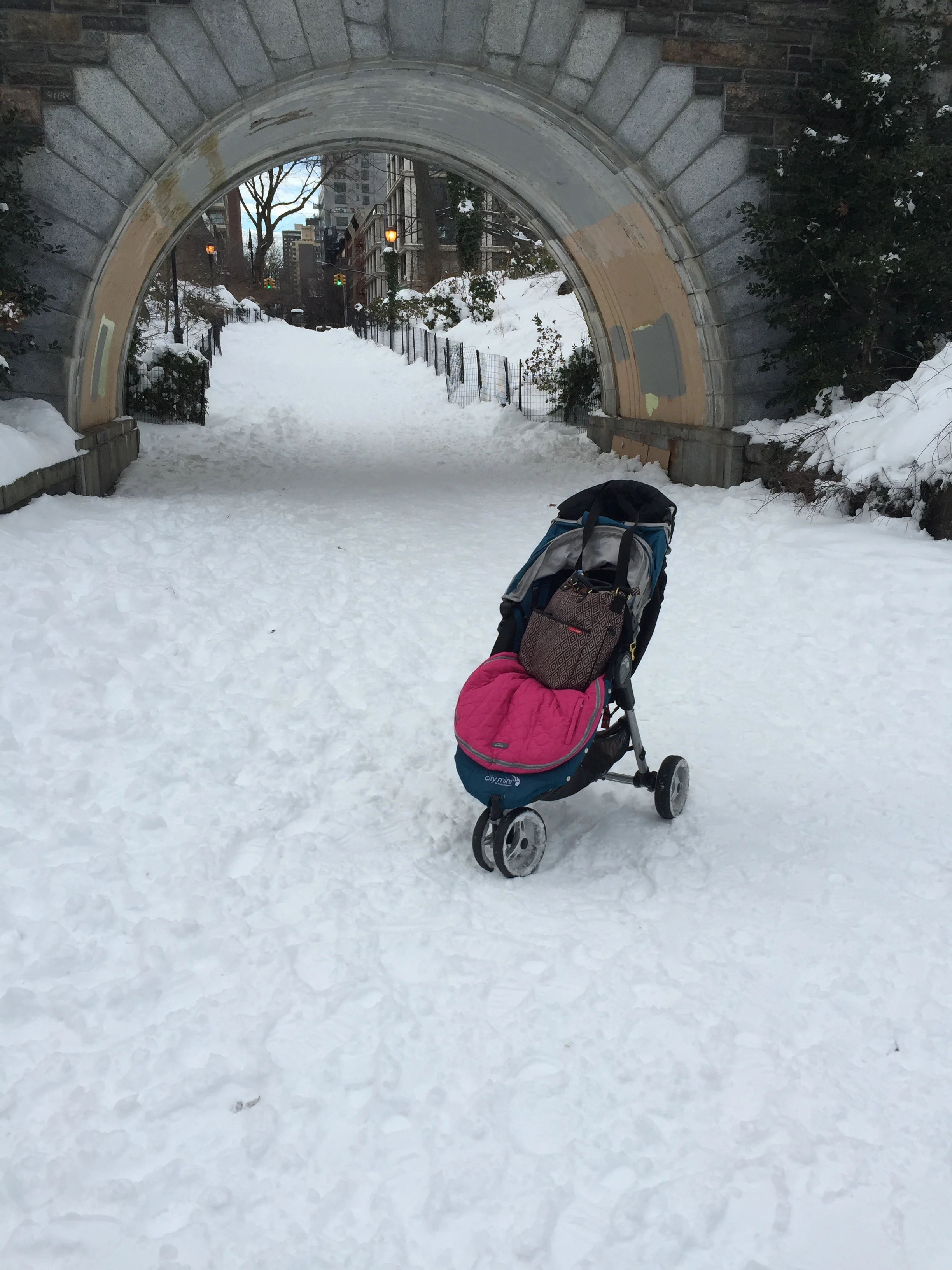 Quick Tip - Don't take a stroller out with you after a nearly record breaking blizzard. Just don't. 