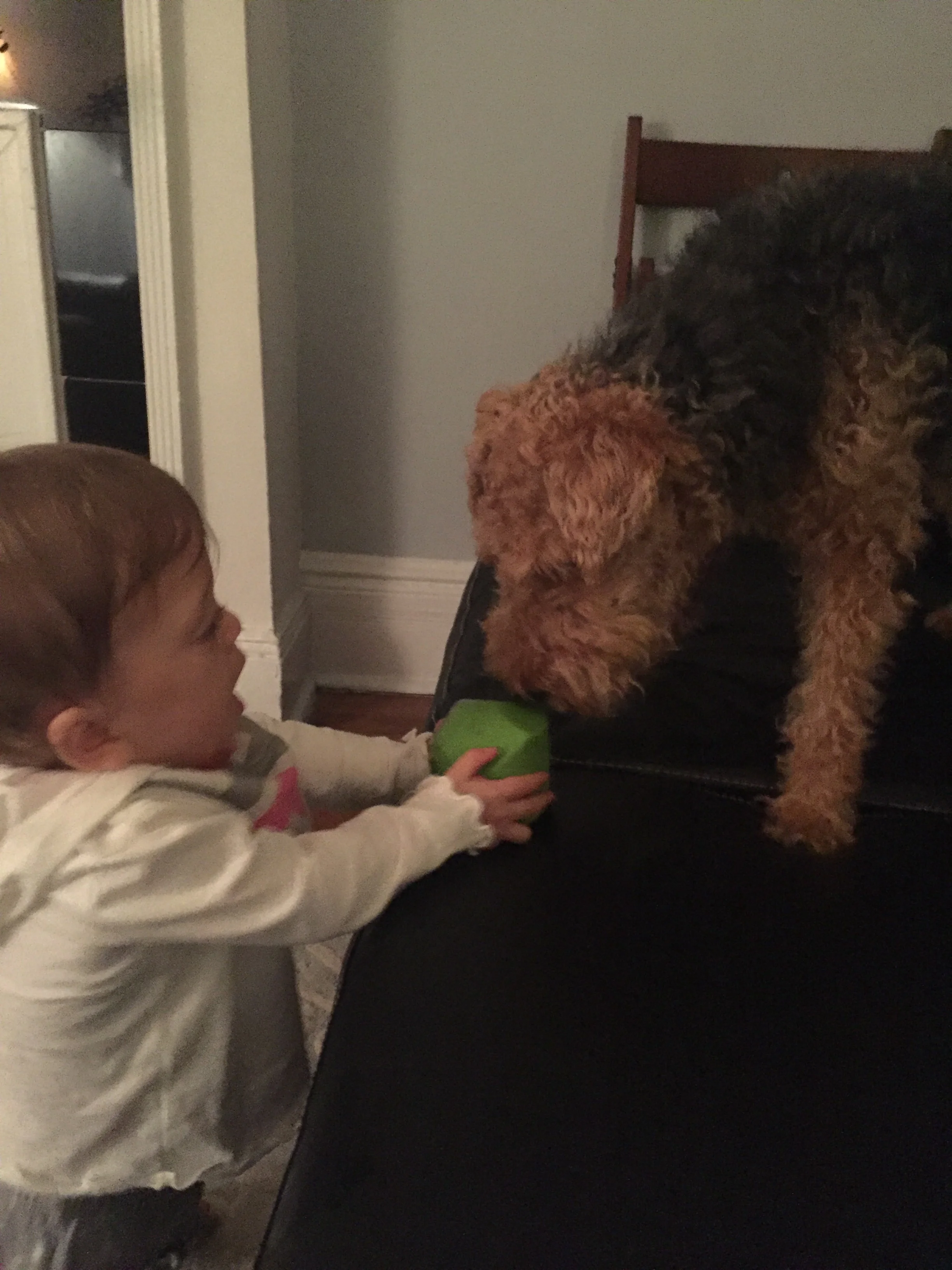 Here's your ball, Bess! Let's play!