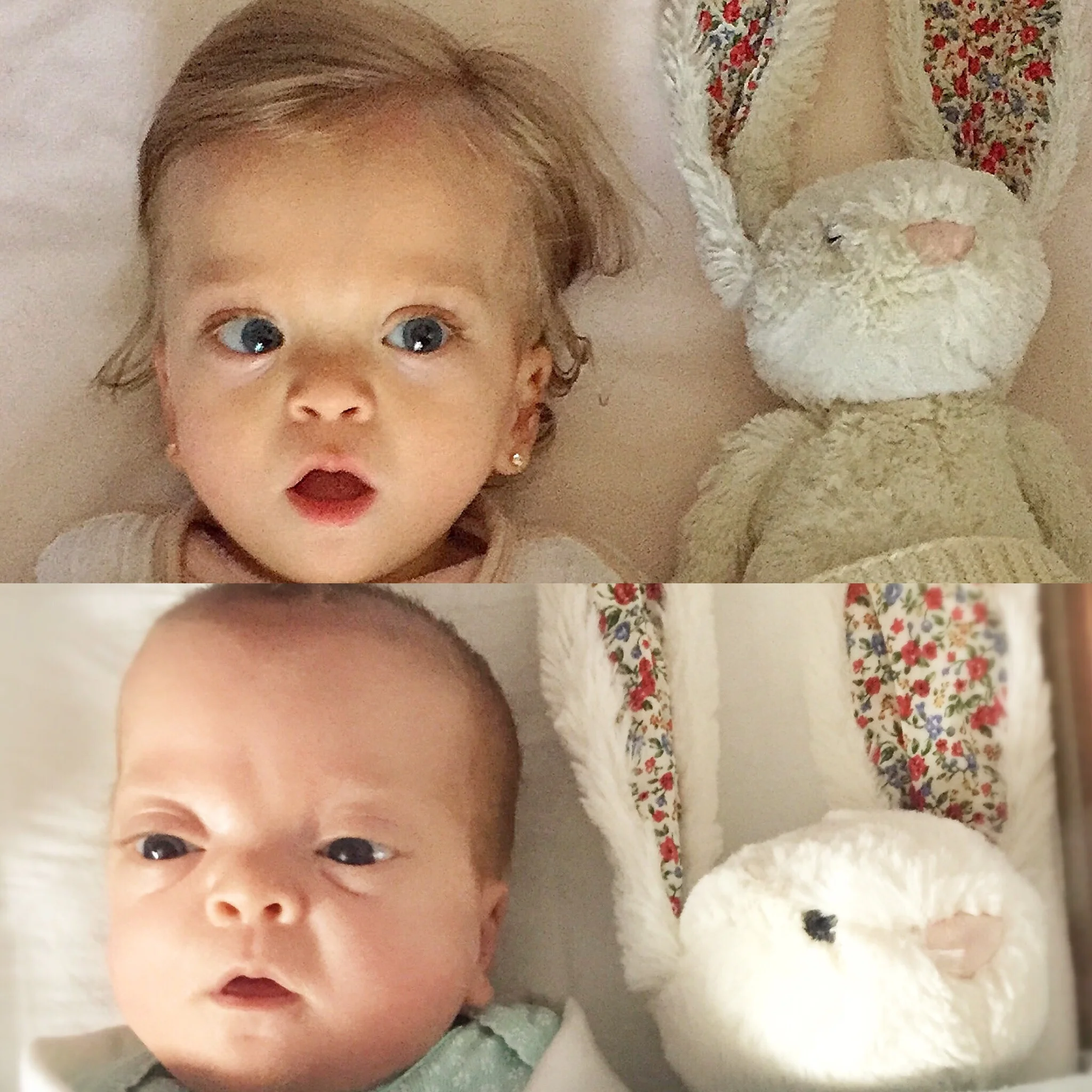 We think this is an adorable Easter Tradition. Lucie waking up in her crib with Boonches Bonita the Bunny. The top photo is from this Easter and the bottom photo is from last Easter when she was still in the NICU.