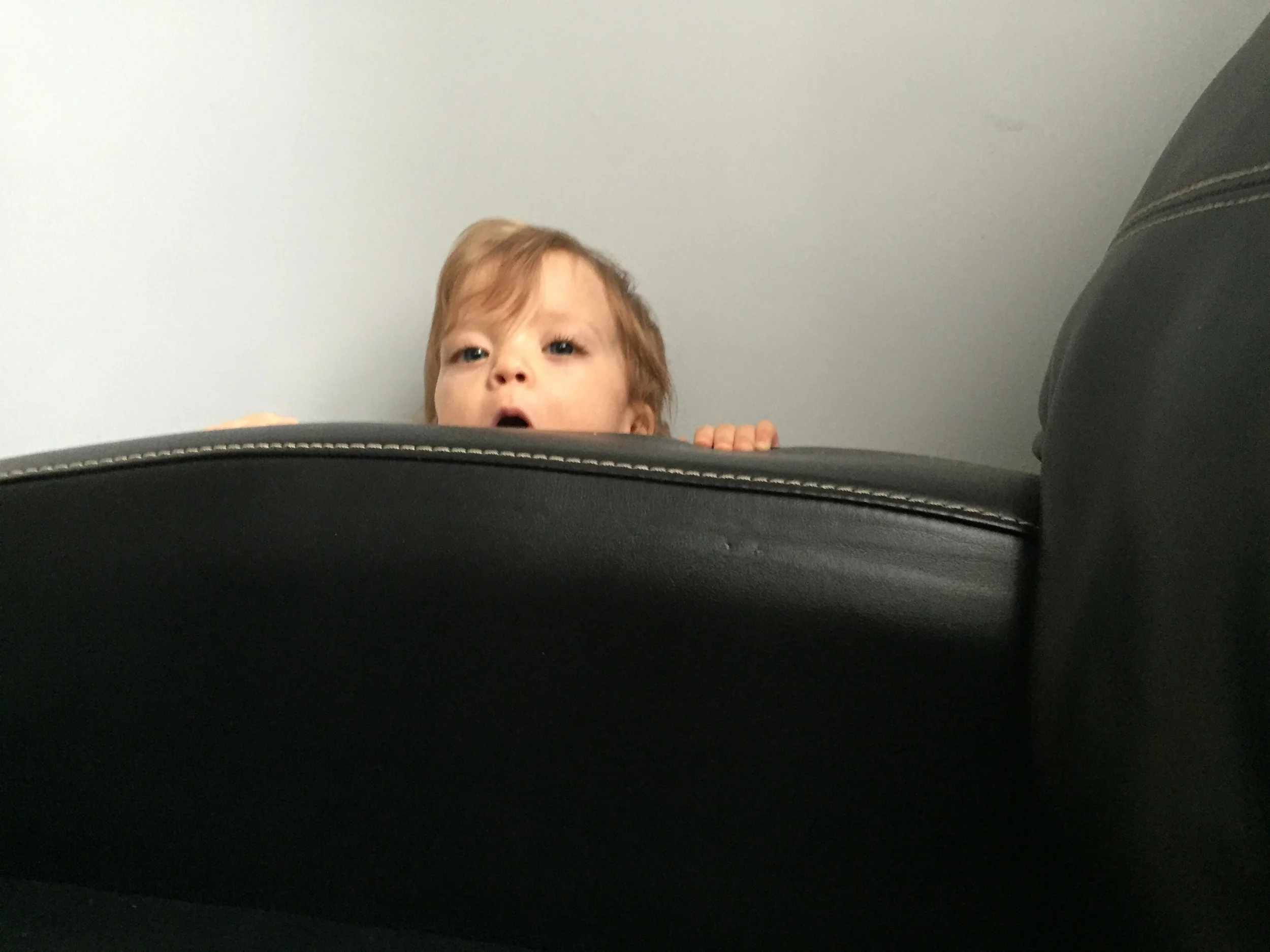 Lucie discovered a new hiding place in the small wedge between the couch and the wall.