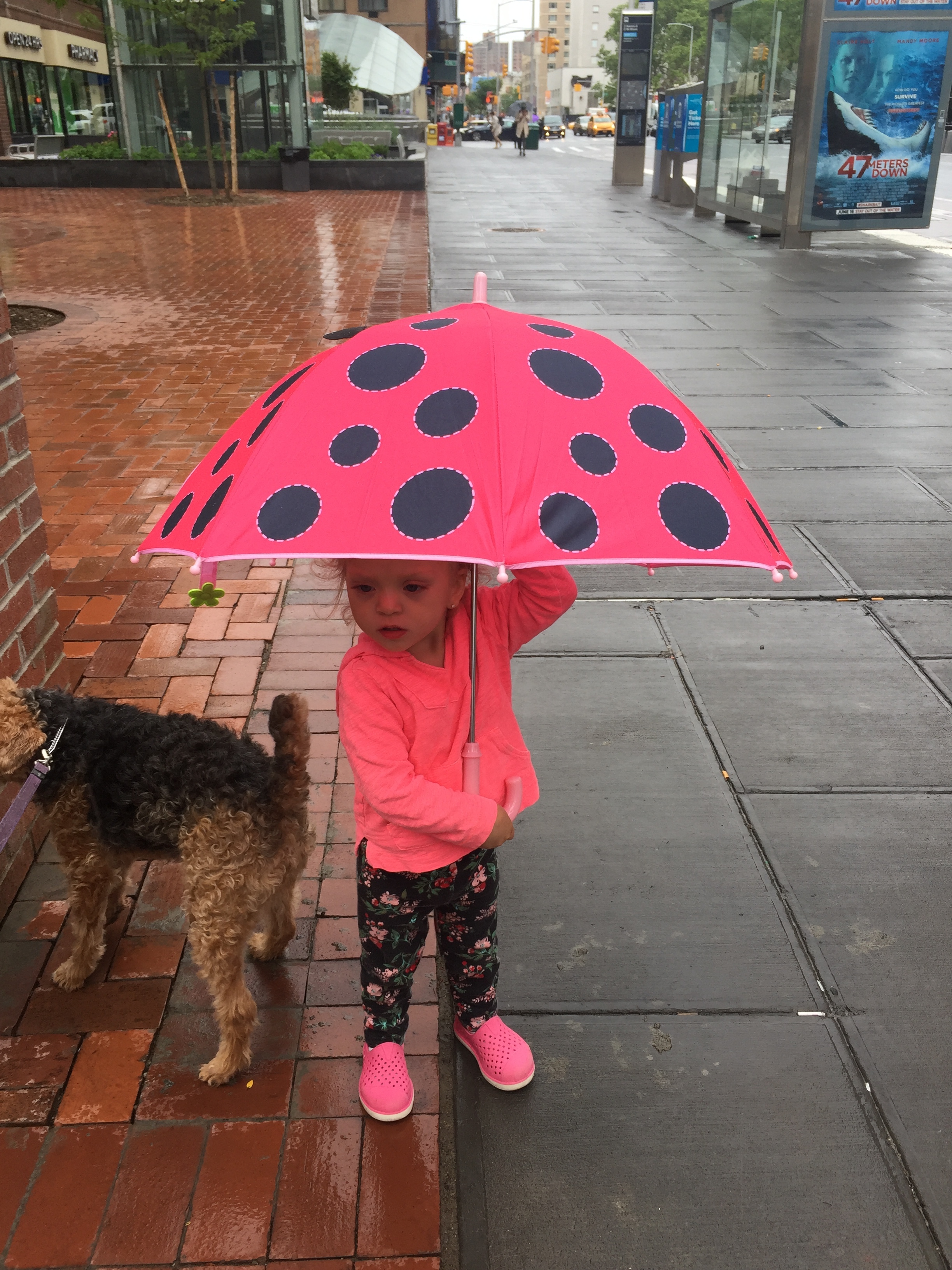  Rainy days our fun with Lucie's new umbrella! 