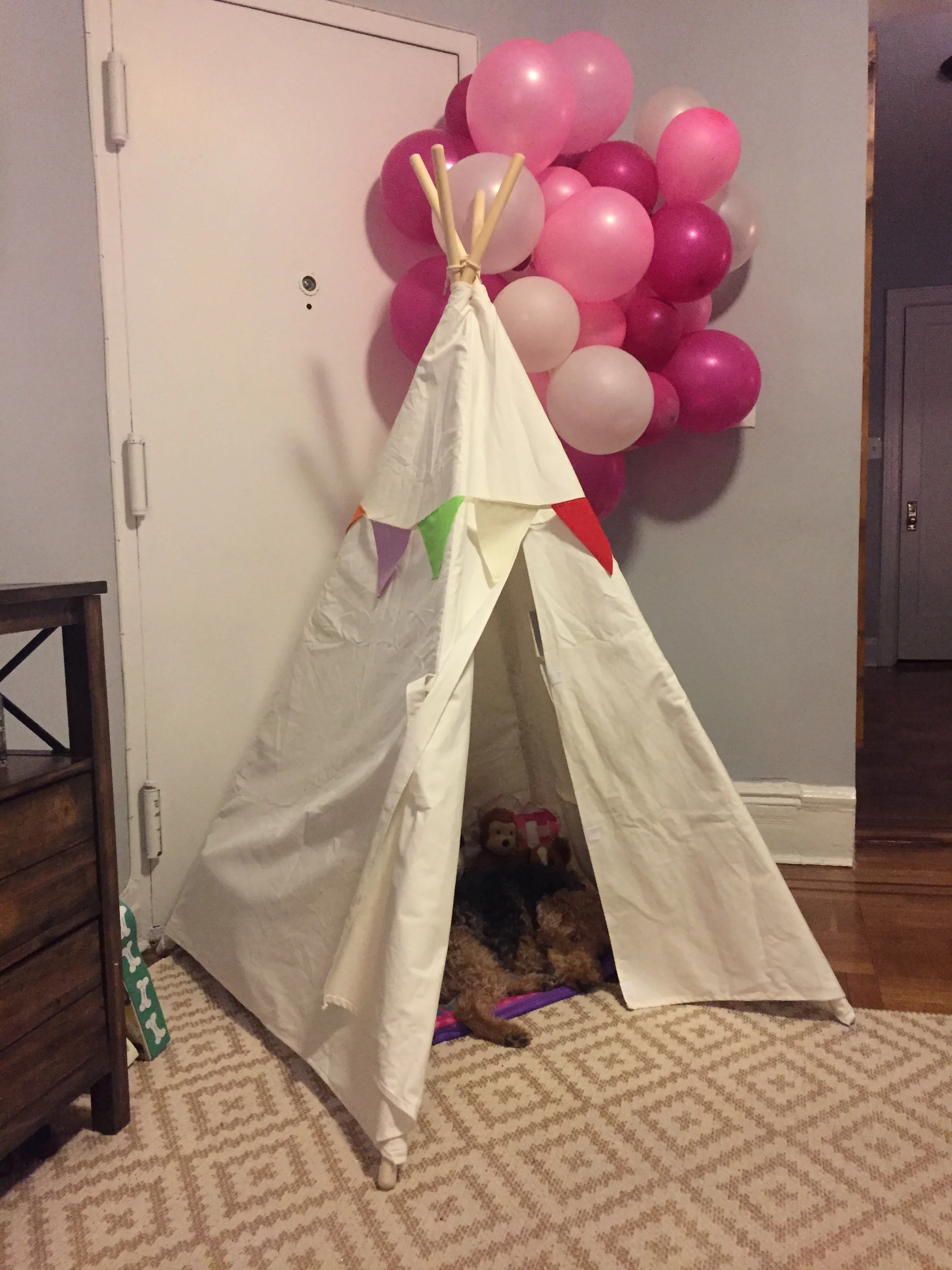  Bess making the most of Lucie's Christmas gift from Grandma and Abo. And yes, two months later the balloons from Lucie's birthday party are still up! 